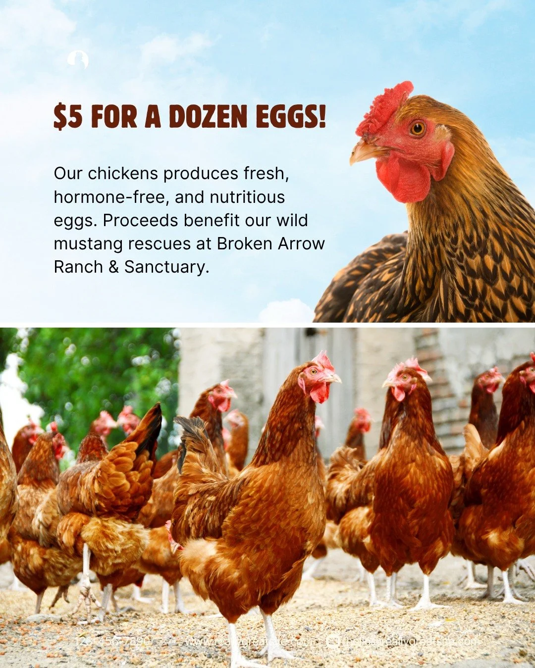 Get fresh, hormone-free eggs for $5 a dozen! Available inside our refrigerated case at Blissful Heart, 45 NW Greeley.🥚✨ Every purchase supports our wild mustang rescues at Broken Arrow Ranch &amp; Sanctuary. Thank you for helping us make a differenc