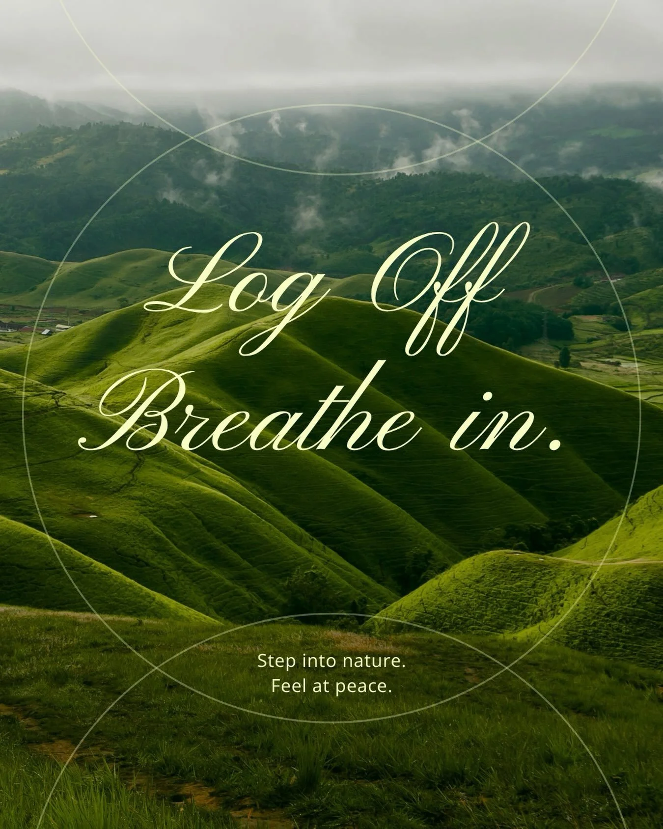 When was the last time you sat outside without your phone in hand? 📵🌲

Tune into nature &mdash; the birds calling back and forth, ants tracing their tiny paths, leaves turning toward the light. There are a thousand small stories playing out around 