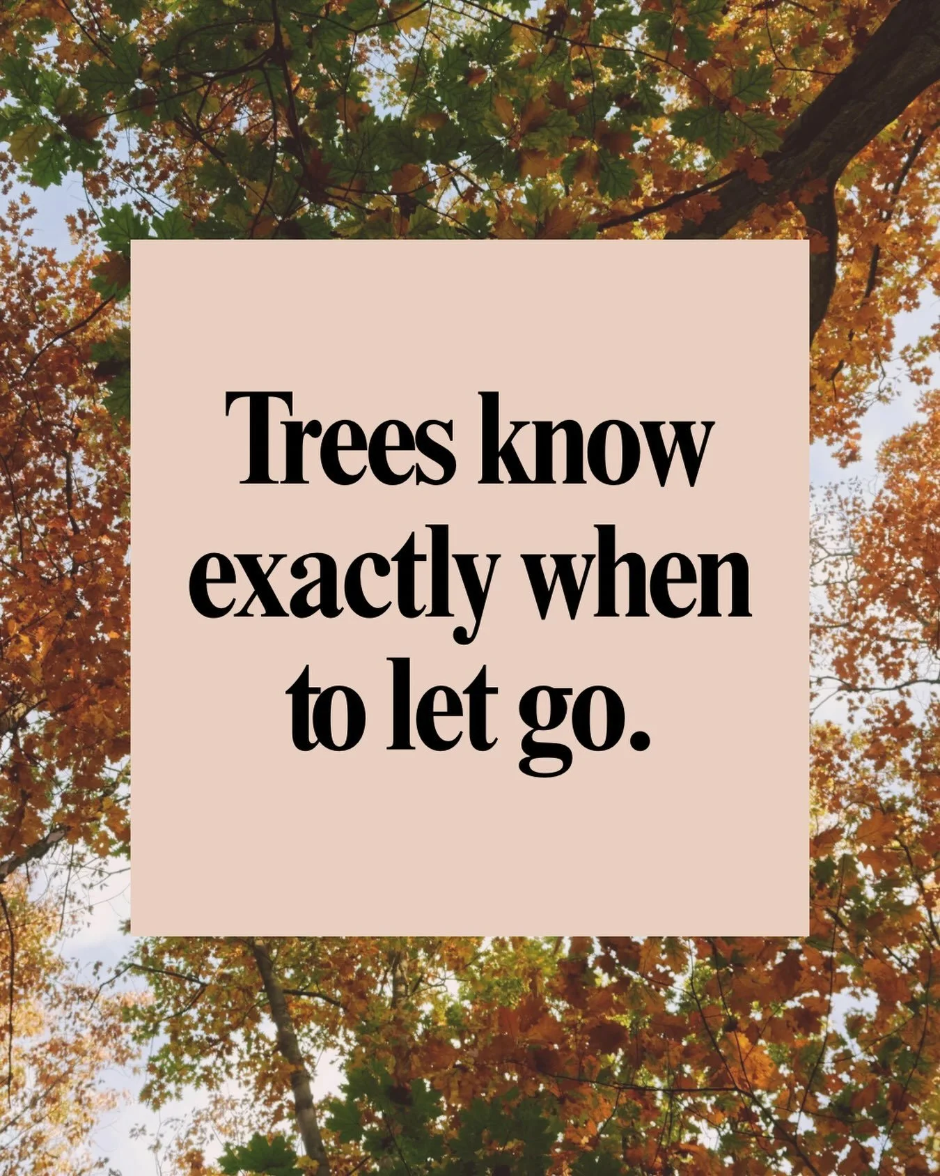 Leaves have perfect timing - they know when to change and let go without resistance. Follow nature&rsquo;s example and embrace the shift into early Fall by asking yourself where you need to change. How does that change look in real time? What do you 