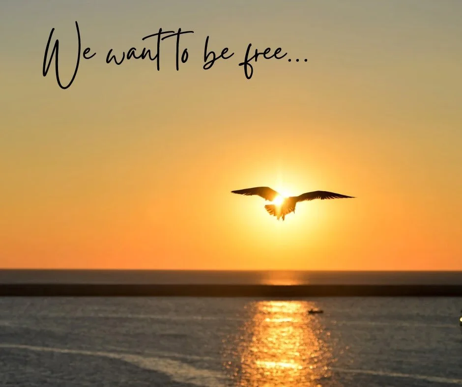 What&rsquo;s clipping your wings lately? We all have them: the looping thoughts, the what-ifs, the voice that shows up uninvited at 2 a.m. Intrusive thoughts are part of being human, but that doesn&rsquo;t mean you have to carry them alone.

Mental f