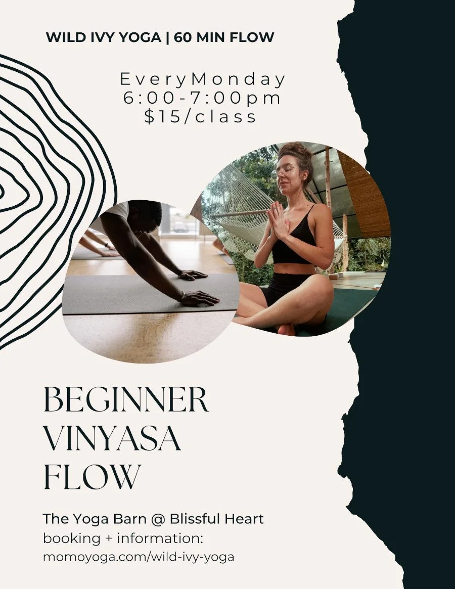 Beginner Vinyasa Flow Yoga in Bend