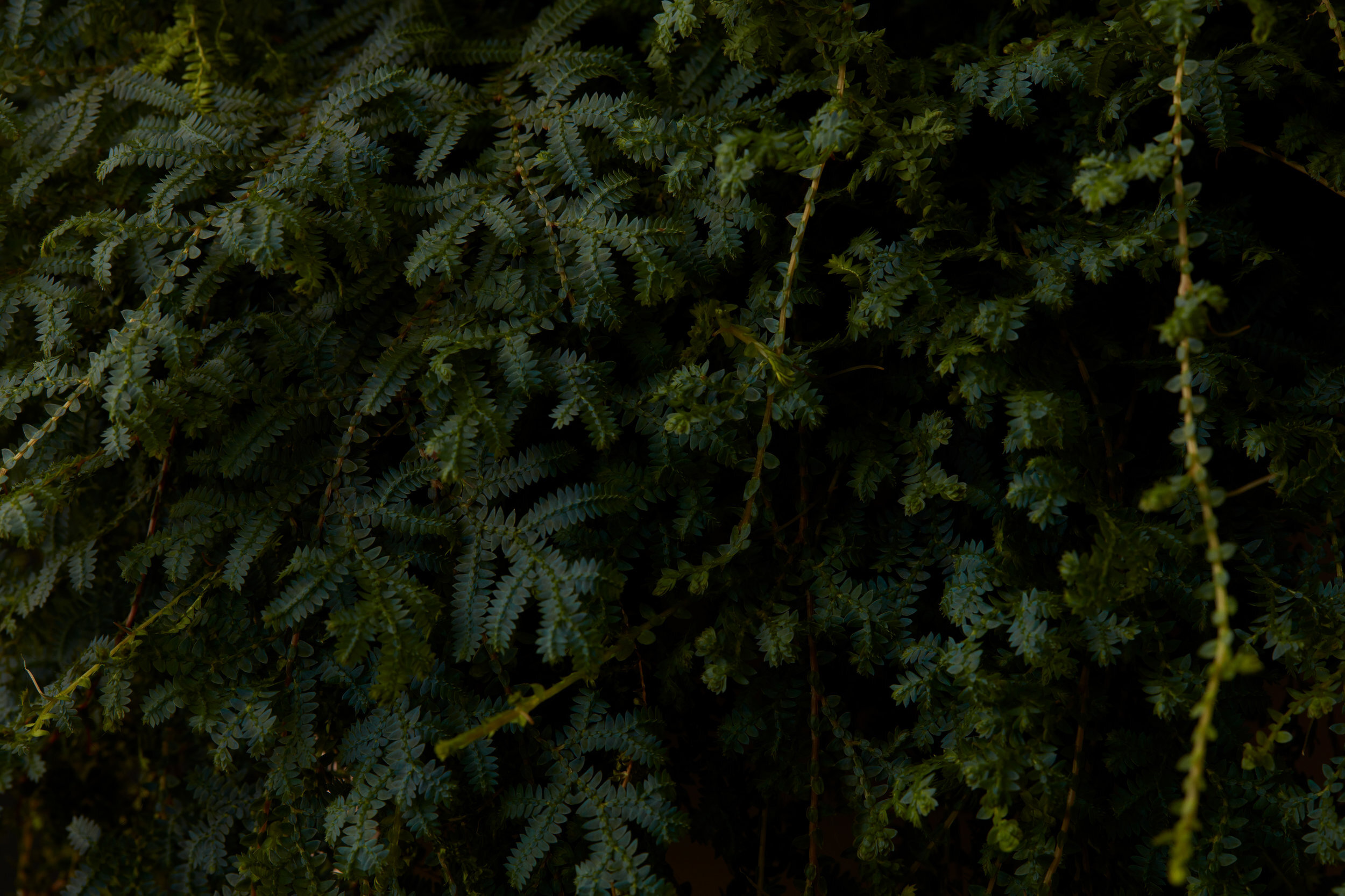 Texture_10_016.jpg