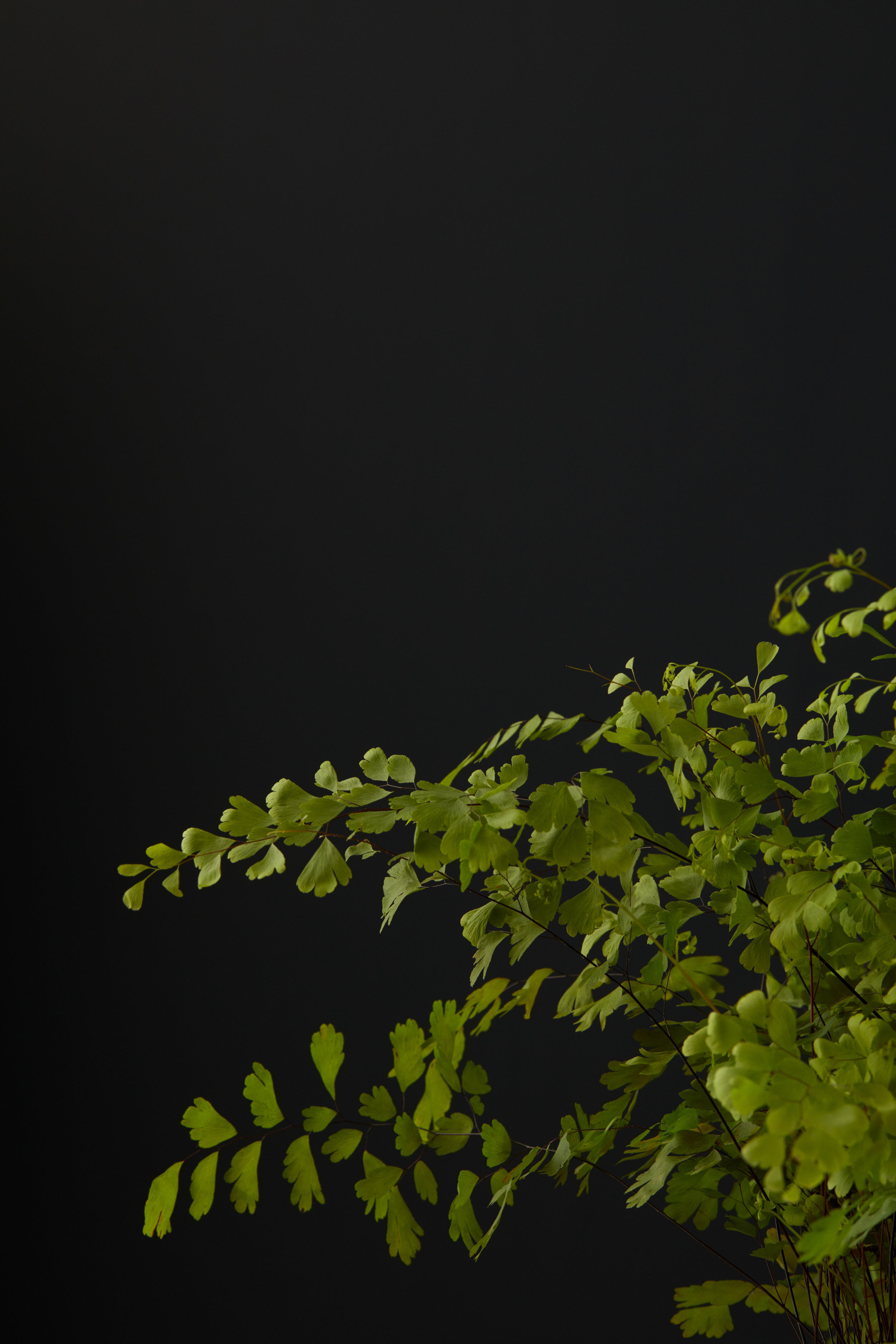 Texture_08_029.jpg