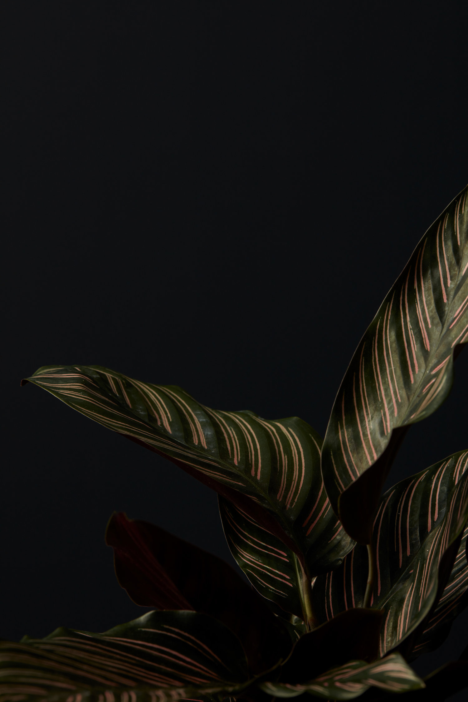 Texture_03_010.jpg