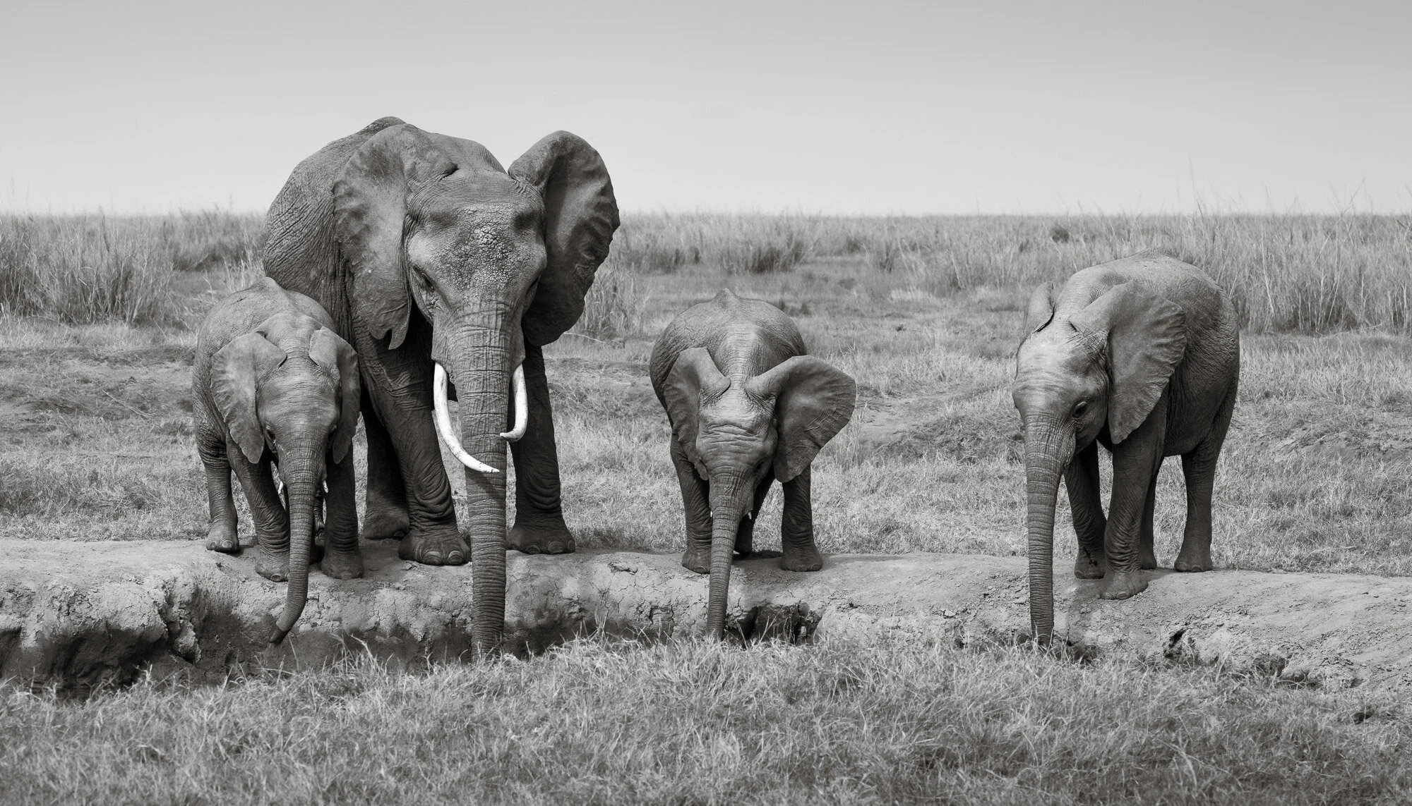 ABiggs_091514_Amboseli023.jpg
