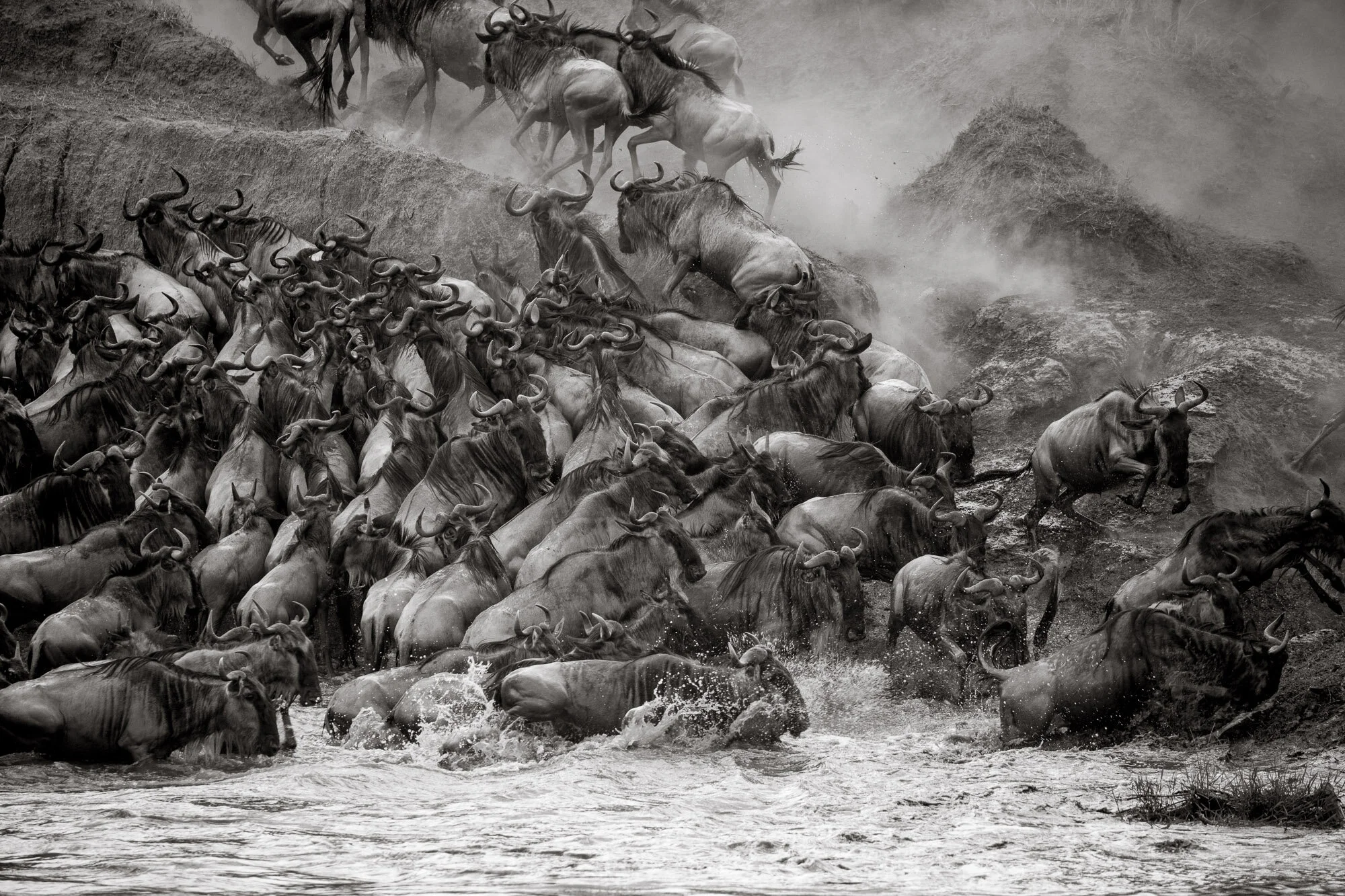 Serengeti Migration Photo Safari, September 2024