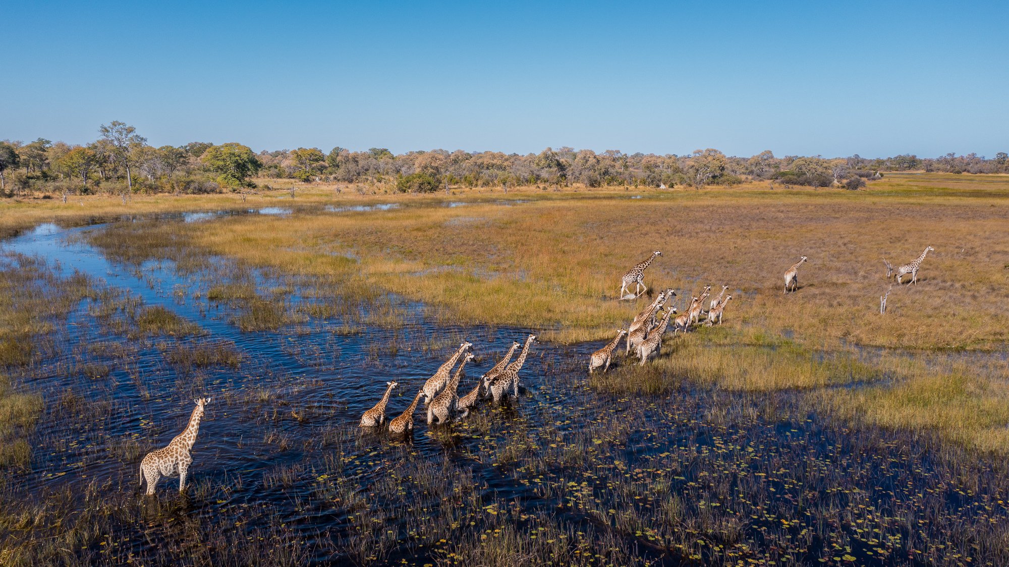 2022-GreatPlains-Okavango-Explorers-Camp-AHP-93.jpg