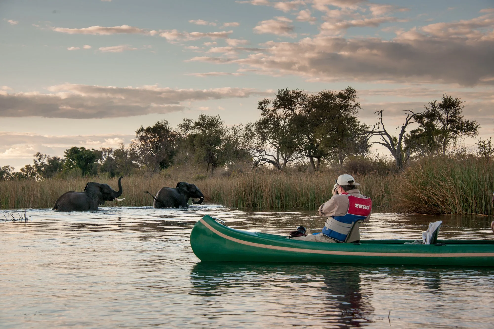 Botswana Okavango Photo Safari, December 2024