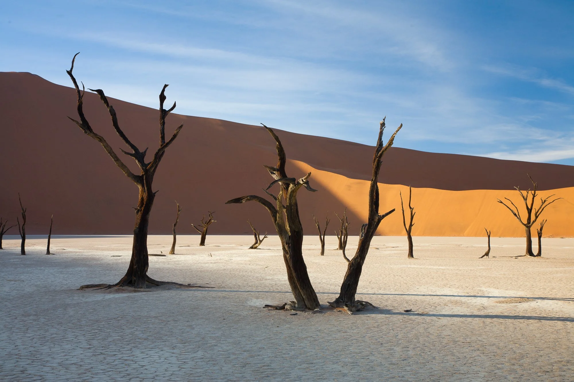 Ultimate Namibia by Air, April 2025