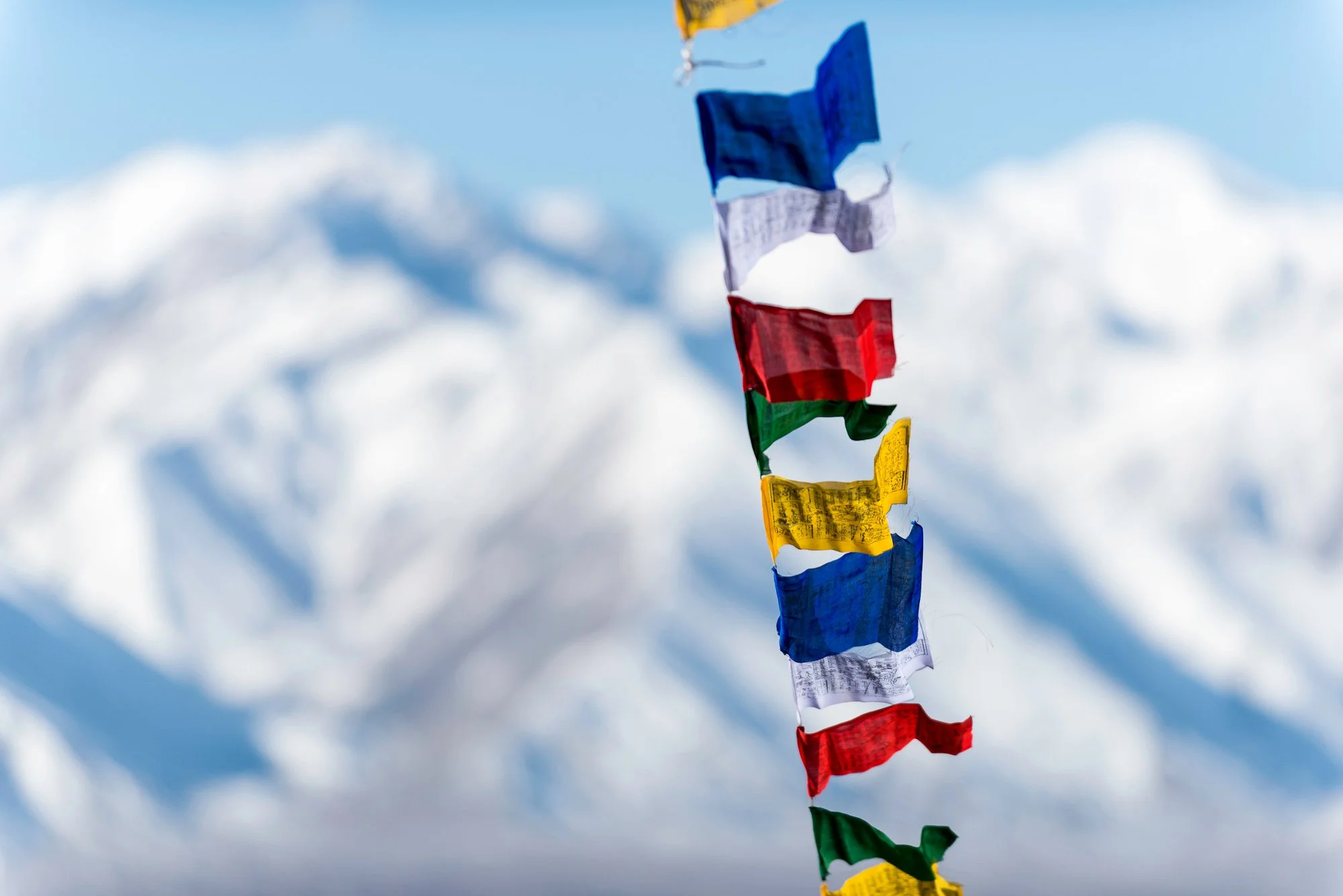 _NMG0648_Buddist flag prayer colour Ladakh Himalayas.jpg