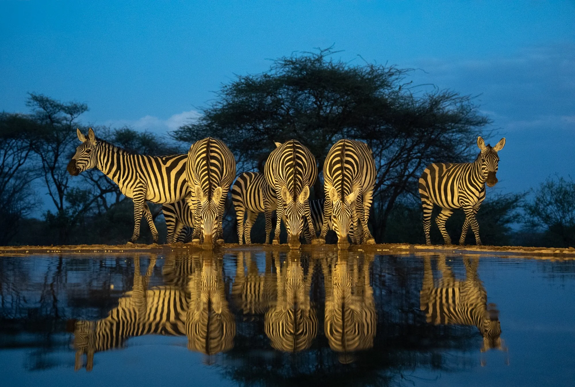 Kenya: Photo Hide, Aerial Photography and Amboseli