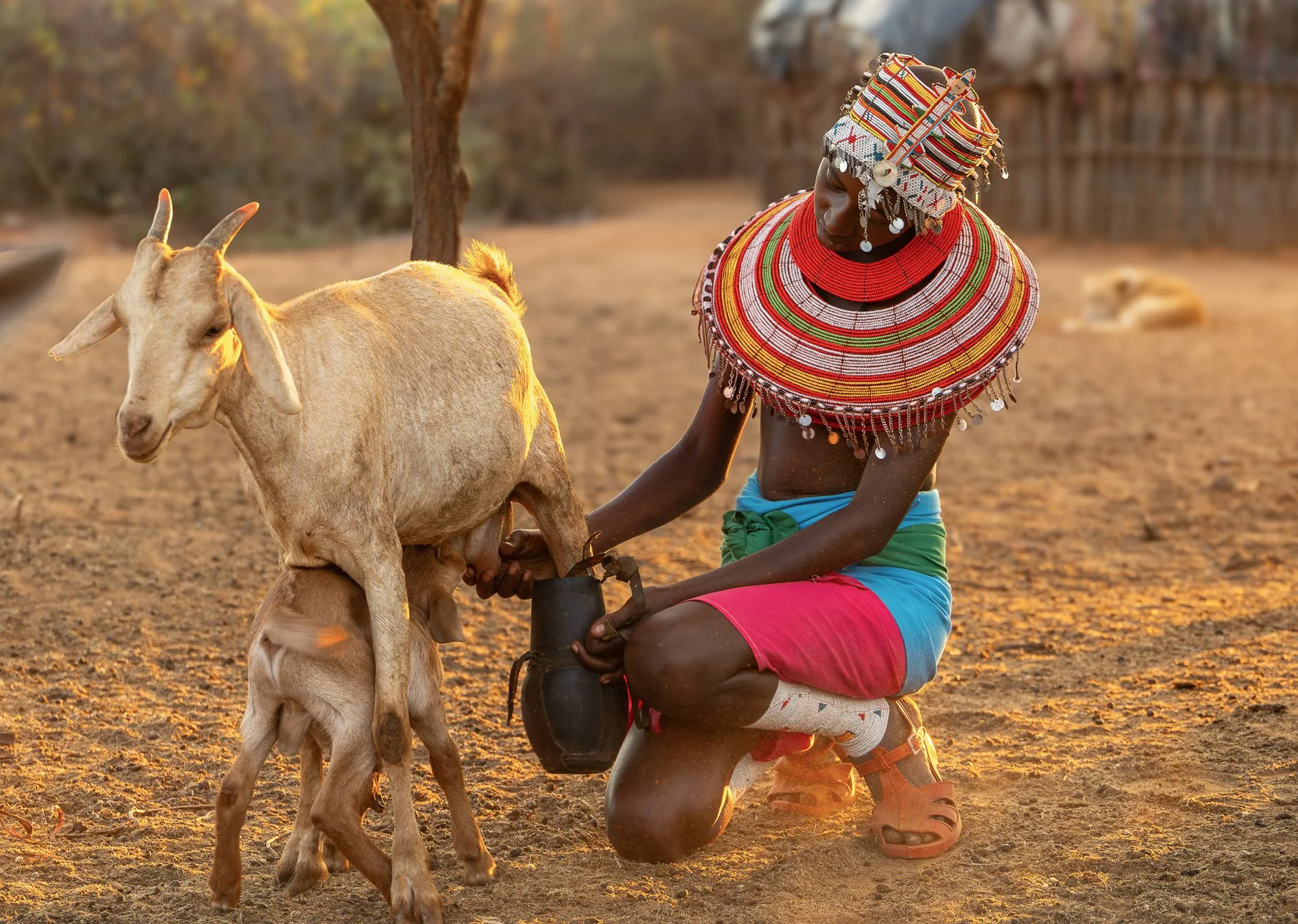 Kalepo Camp. Credit @mpoliza14.jpg