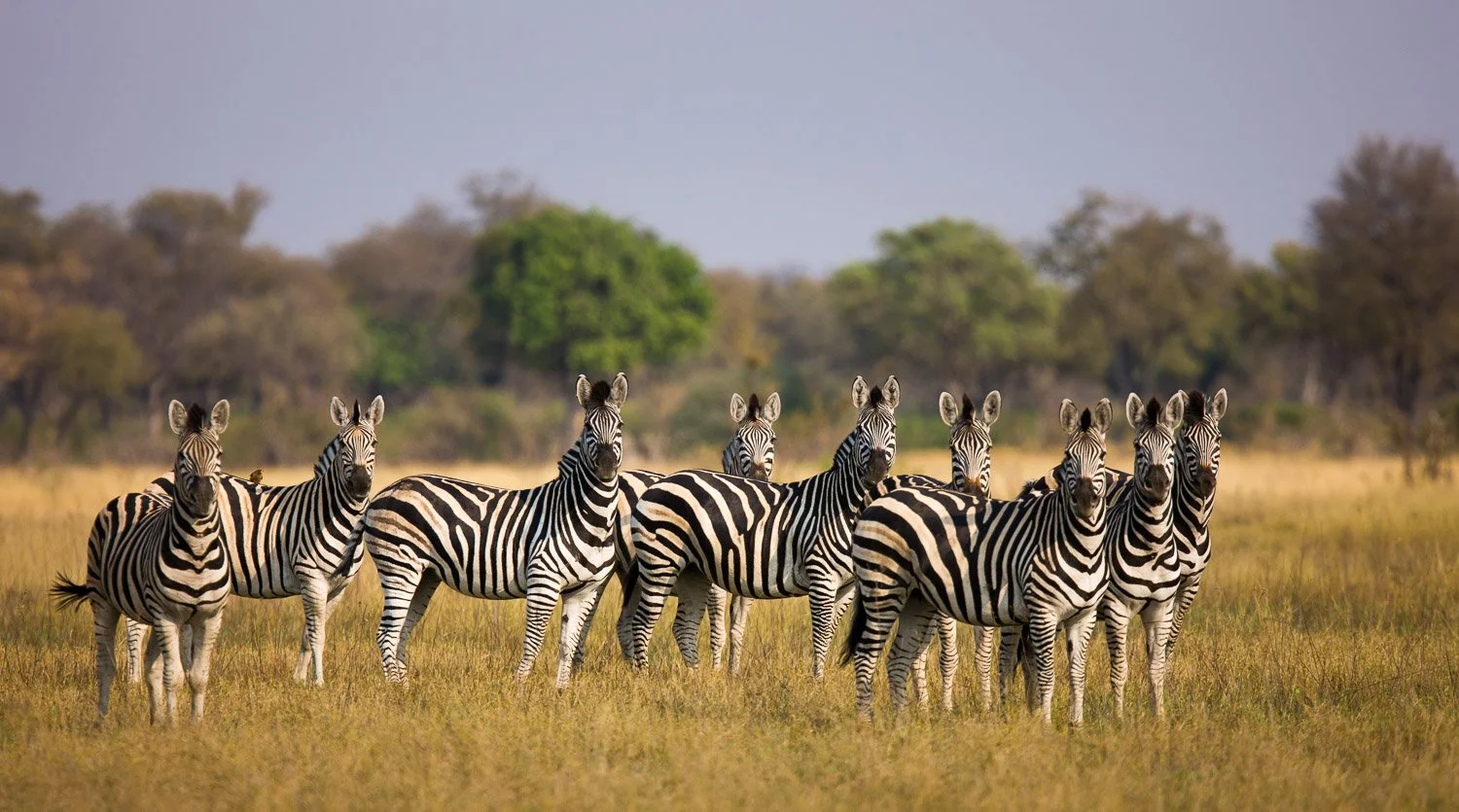 09132008084510_Vumbura042.jpg