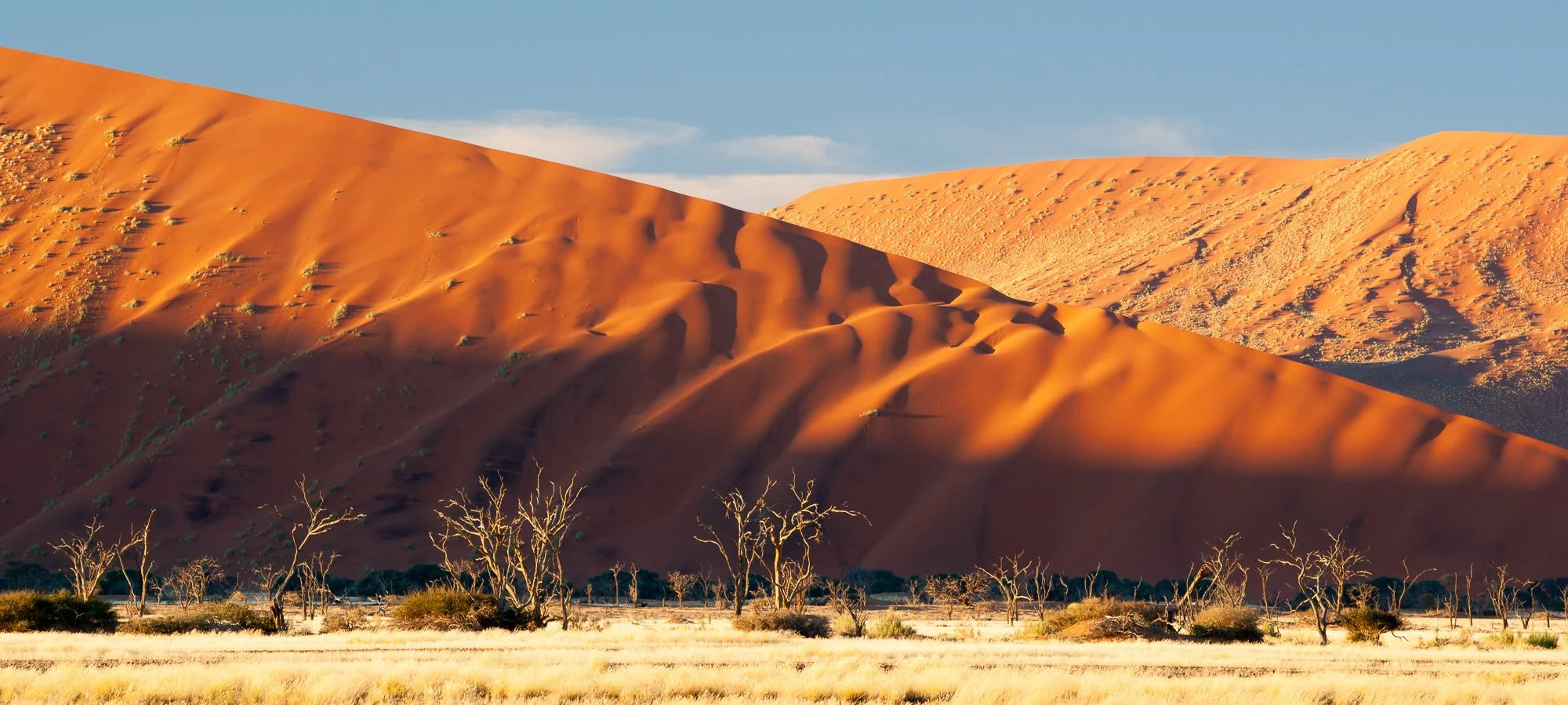 05242009_Sossusvlei_016.jpg