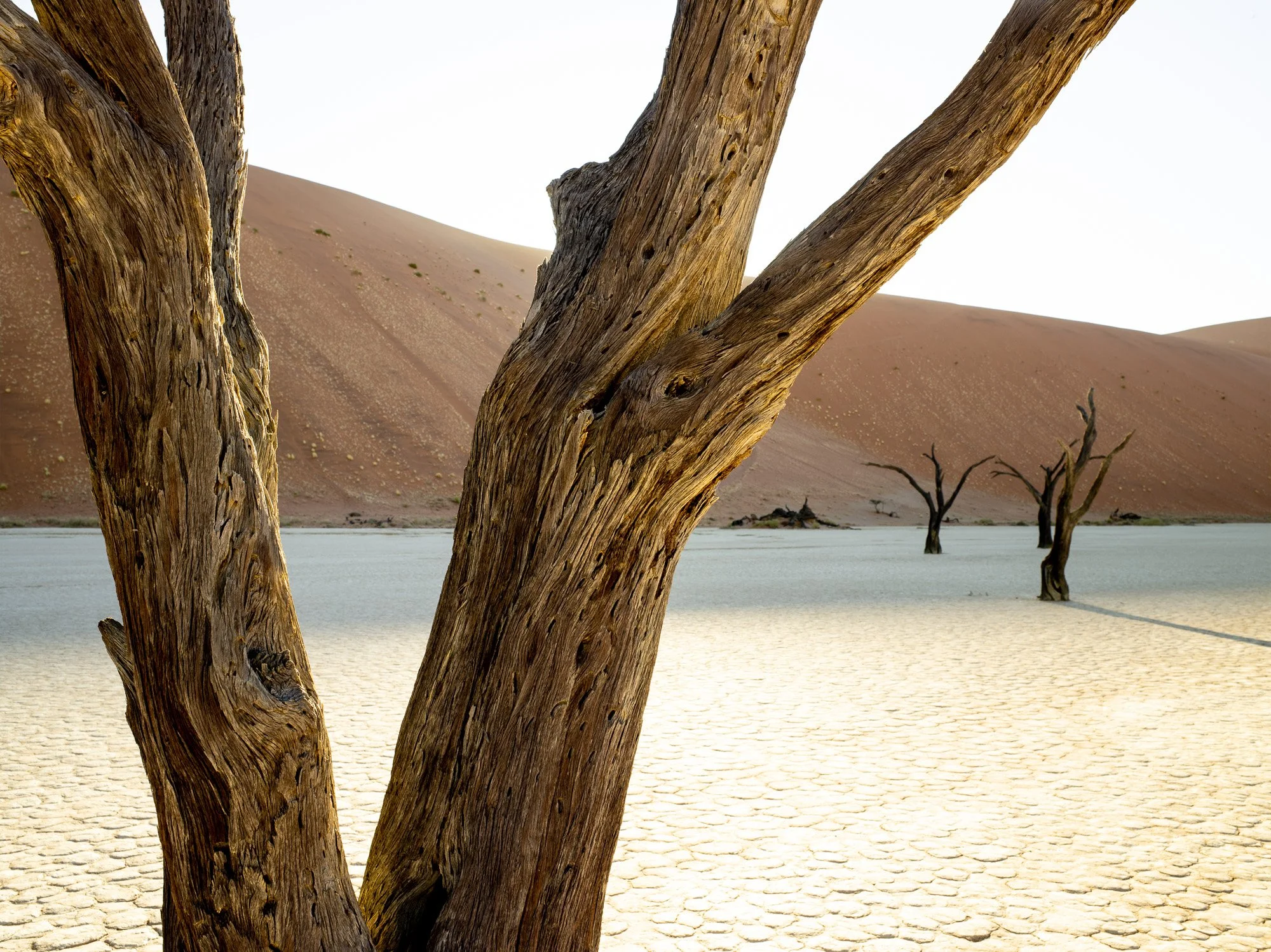 Abiggs_09282012084455_Sossusvlei019.jpg