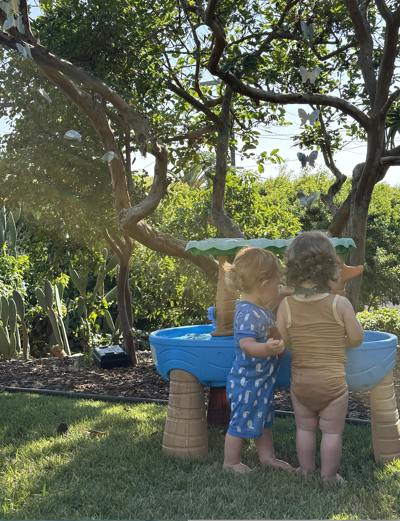 Screenshot 2026-01-13 at 9.10.51 PM.png