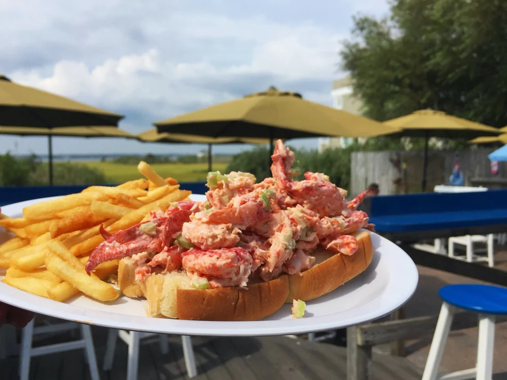 JOHN SCOTTS SURF SHACK/2023