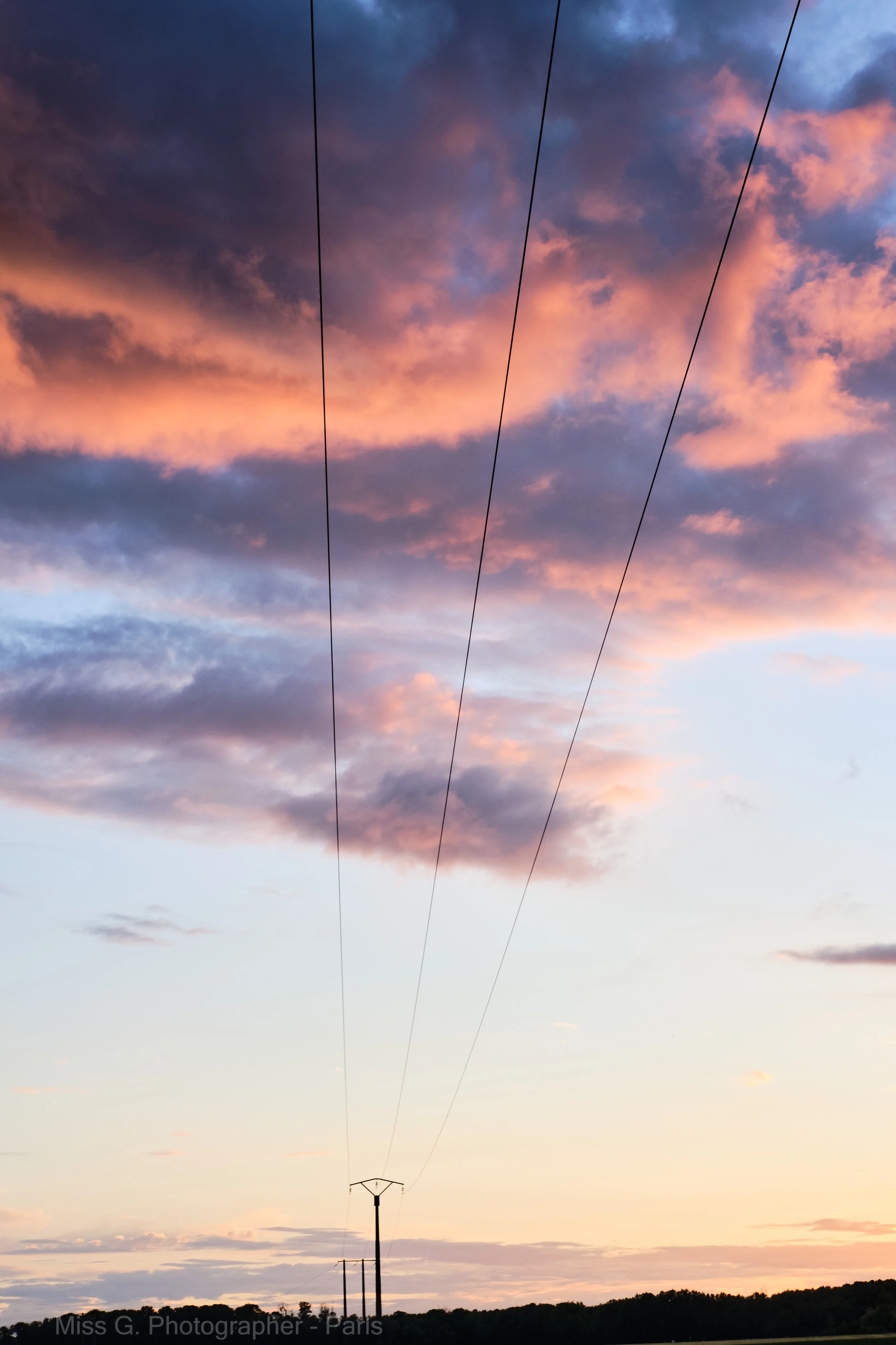 COMME UN CERF VOLANT 