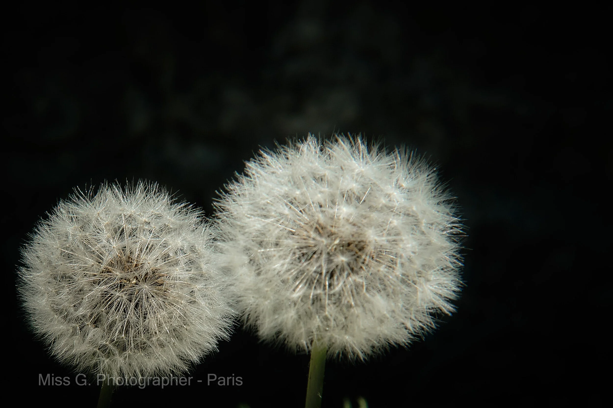 AMES SOEURS