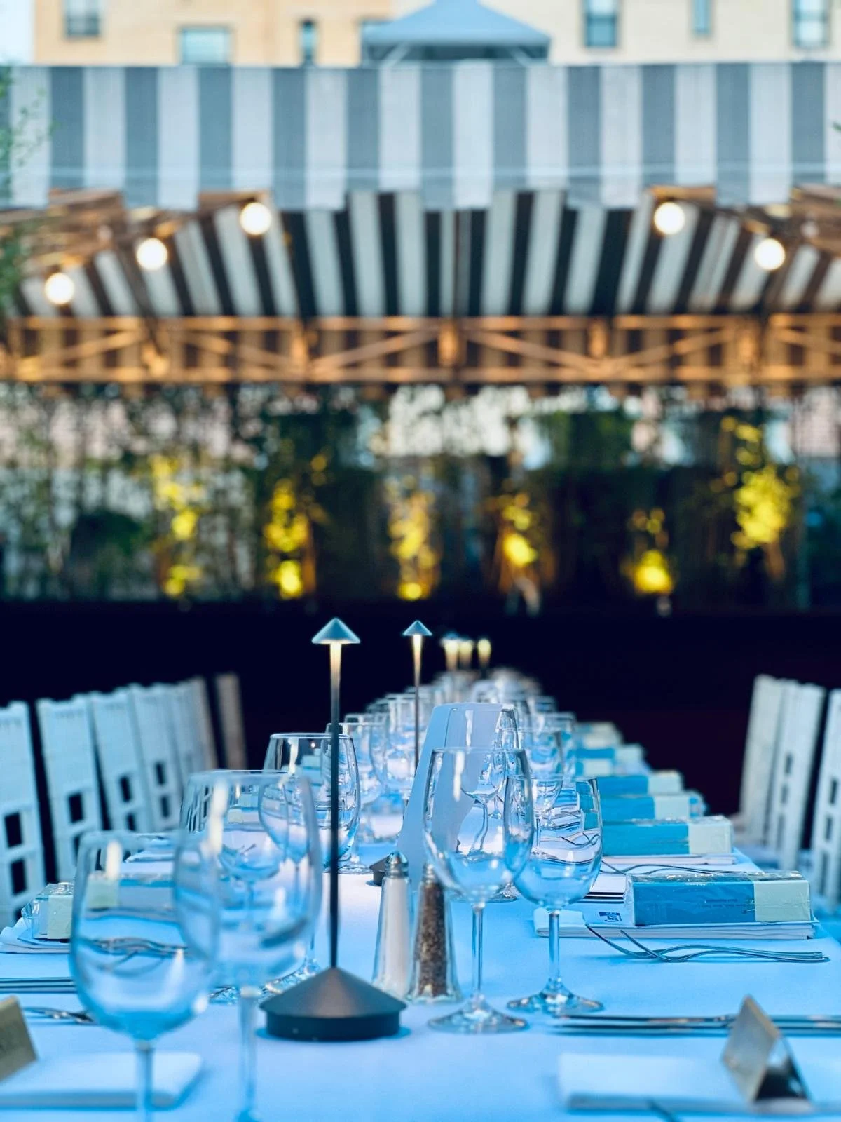 WhatsApp Image 2026-02-25 at 10.00.08 (6).jpeg