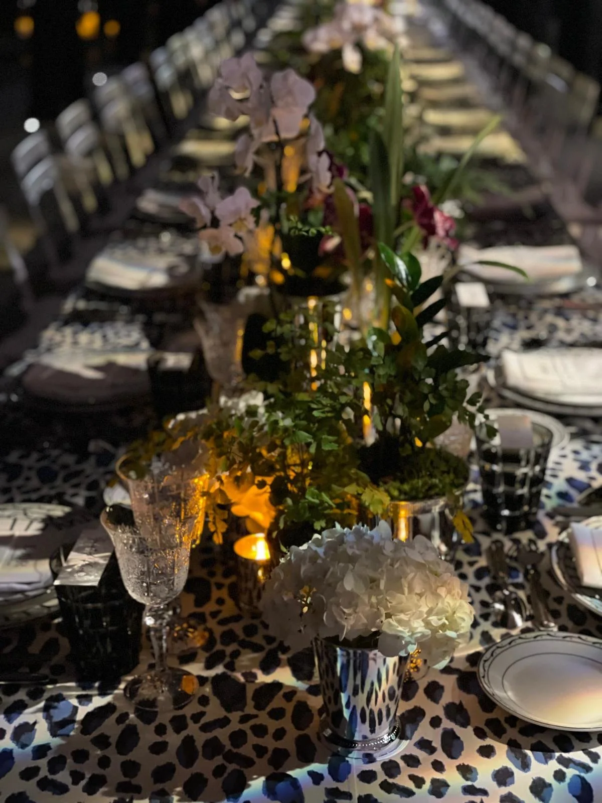 WhatsApp Image 2026-02-25 at 10.00.06 (2).jpeg