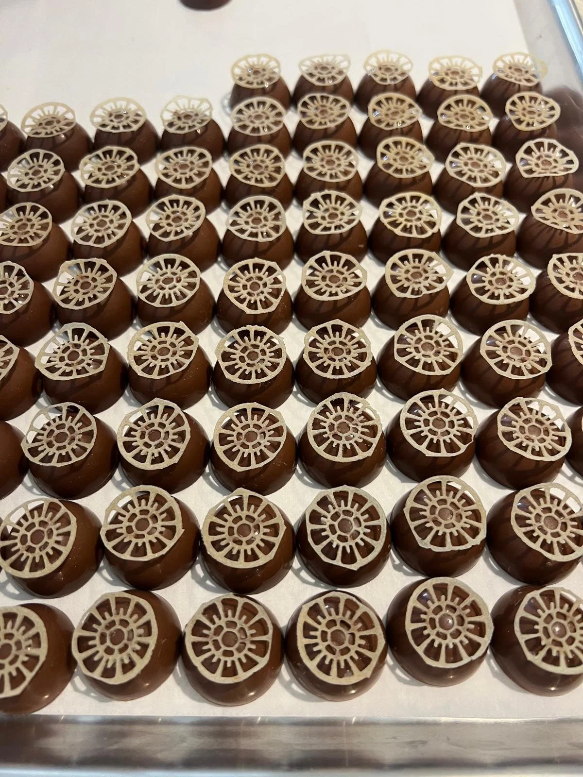 WhatsApp Image 2026-02-25 at 10.12.15.jpeg