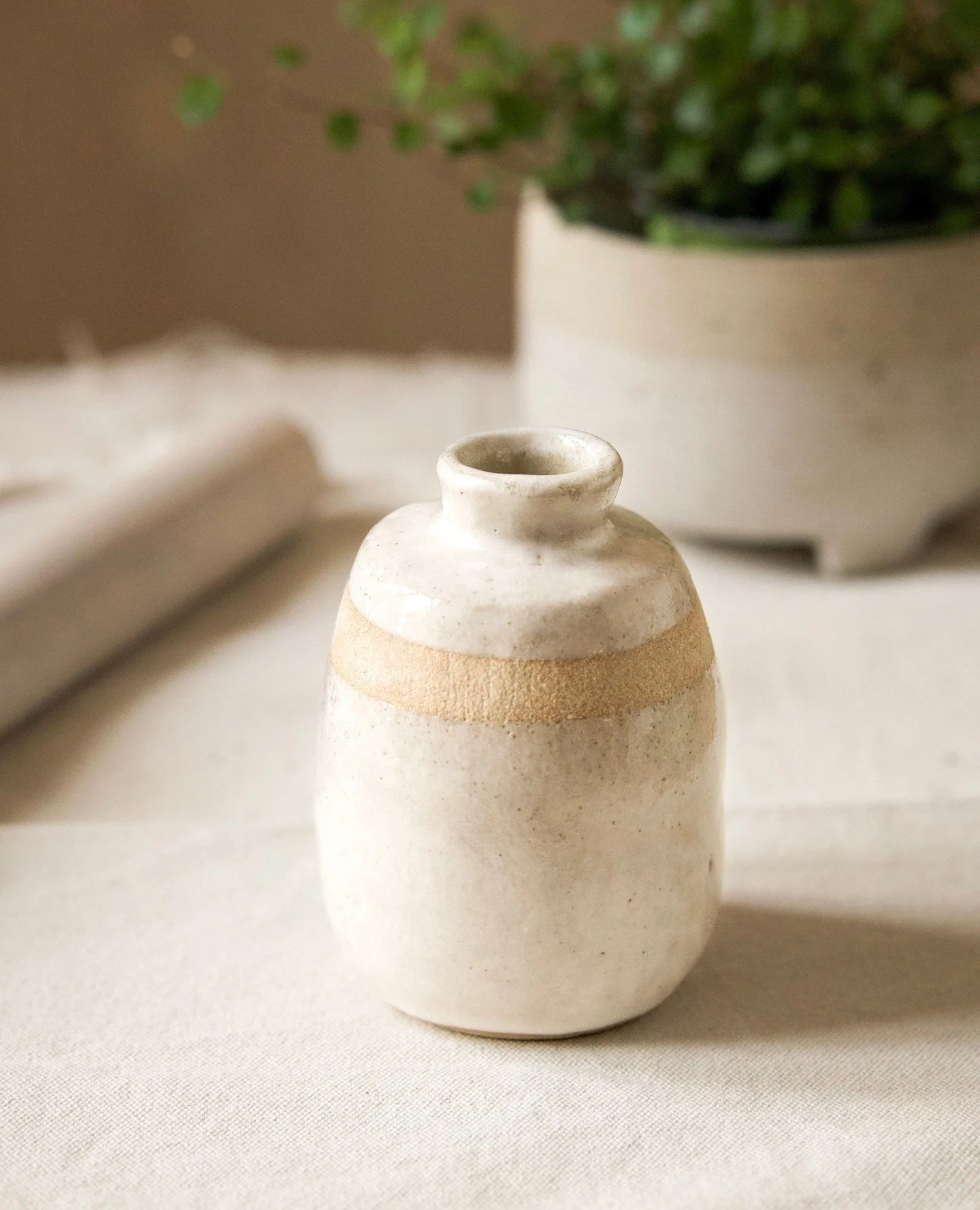 You could make something like this... from the comfort of your own home!⁠
⁠
Here's a sneak peek at the weekly session themes... and yes, you can join at any time - each one is a complete, standalone project! 🙌⁠
⁠
✨ Week 1: Pinching - Learn the class