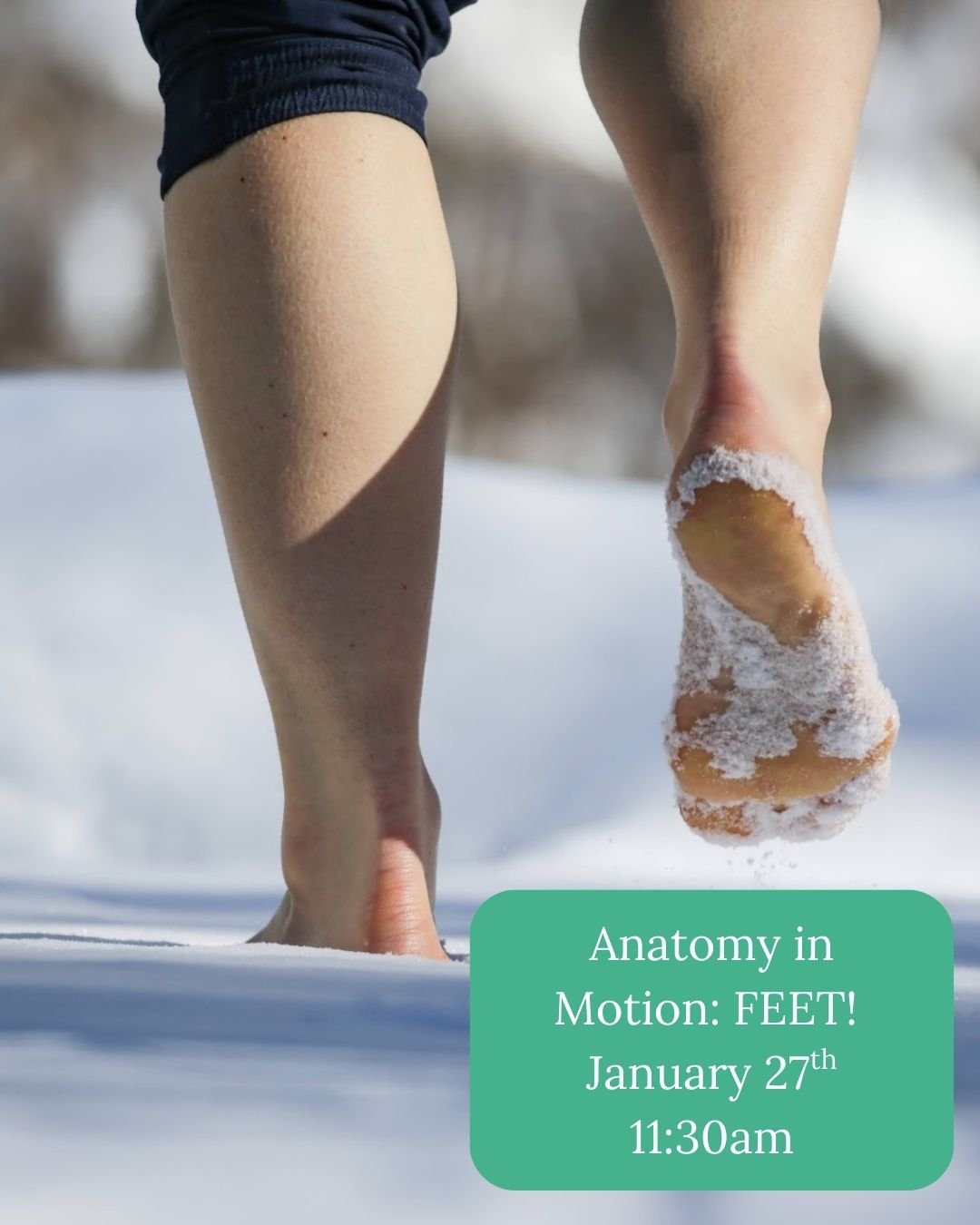 Adult Beginner Ballet 4 Week Session Begins Jan 5thj.jpg