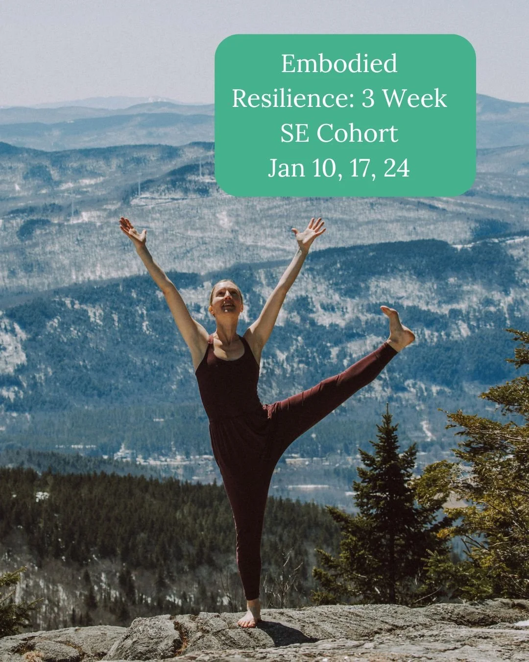 Adult Beginner Ballet 4 Week Session Begins Jan 5thj.jpg