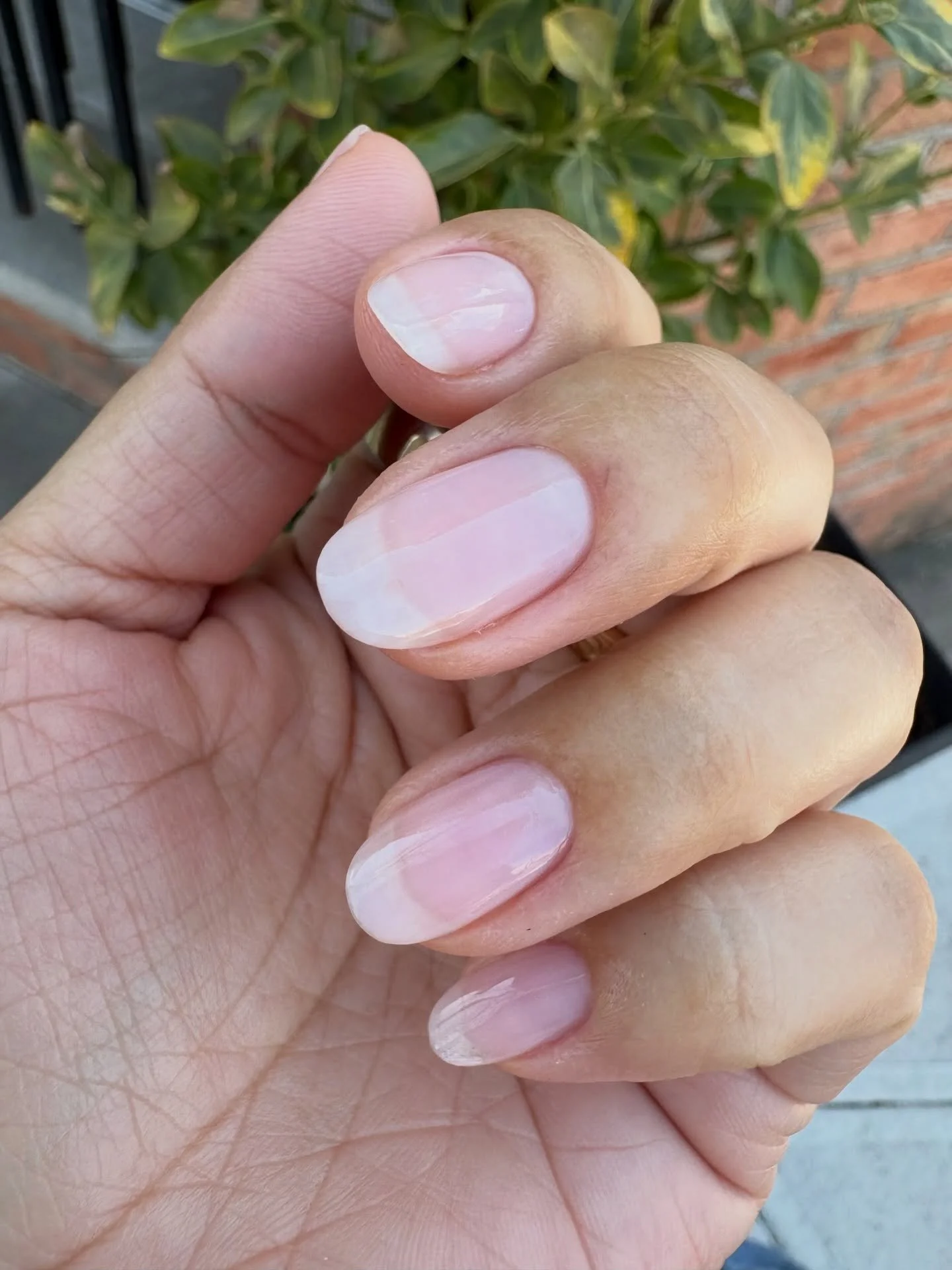 5 reasons to try a Russian Manicure 👇
	1.	Lasts 4&ndash;5 weeks (yes, really)
	2.	Zero lifting at the cuticle
	3.	No soaking = stronger nails over time
	4.	Looks freshly done for weeks
	5.	The cleanest gel application you&rsquo;ve ever seen. Regular