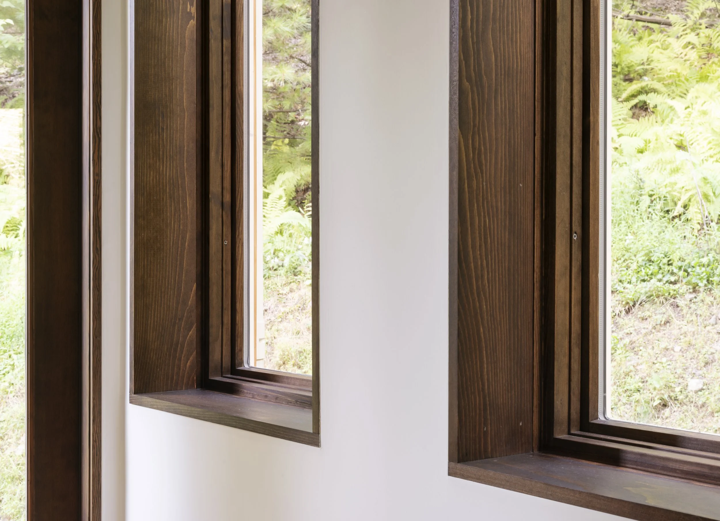 Close-up of a wooden window frame with glass panes, revealing a lush green outdoor scene.