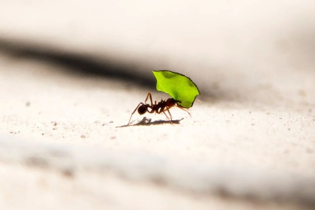 TEENS Ep.18 How to tell if you are strong enough