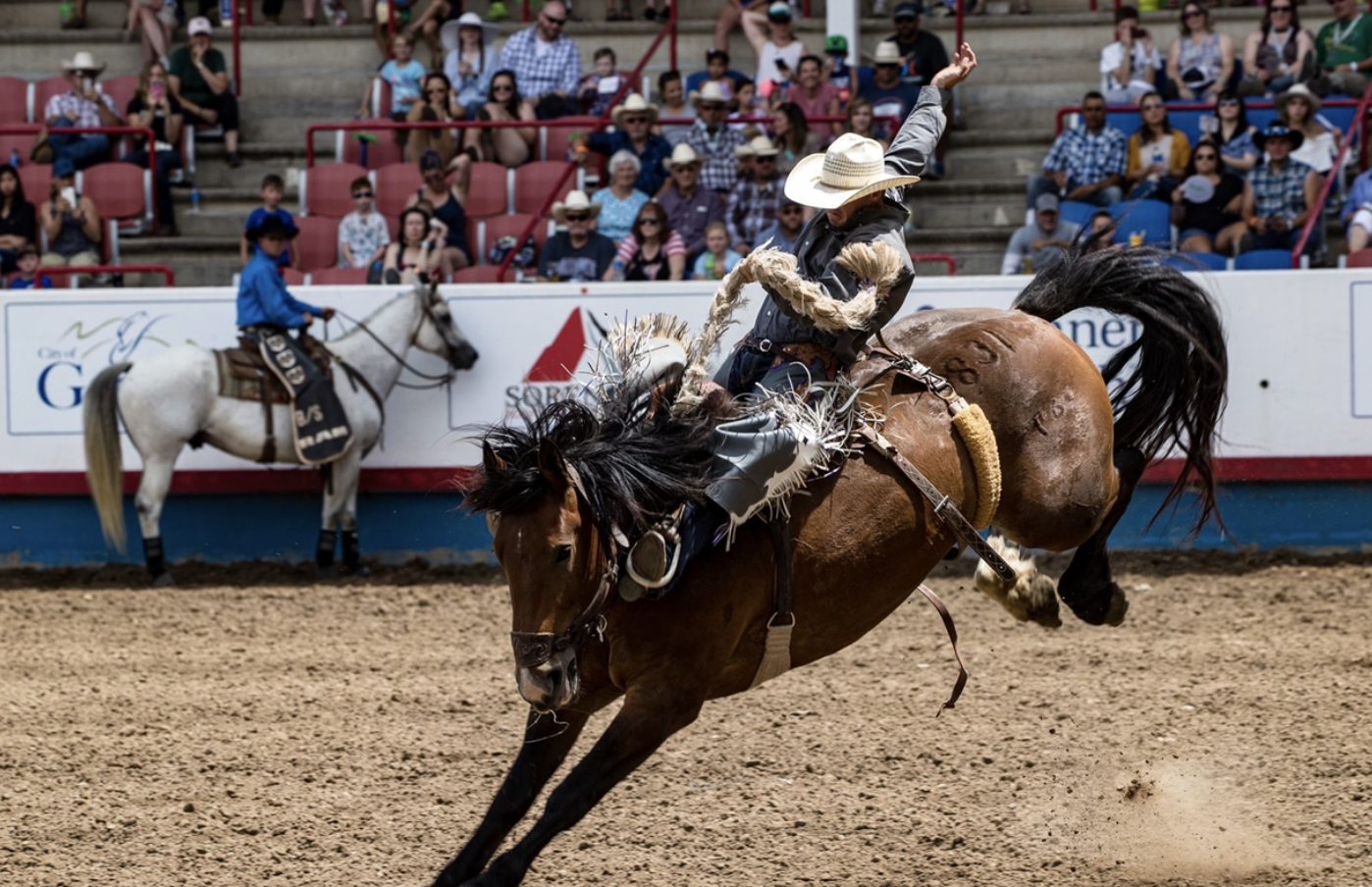 Photo by Greeley Stampede