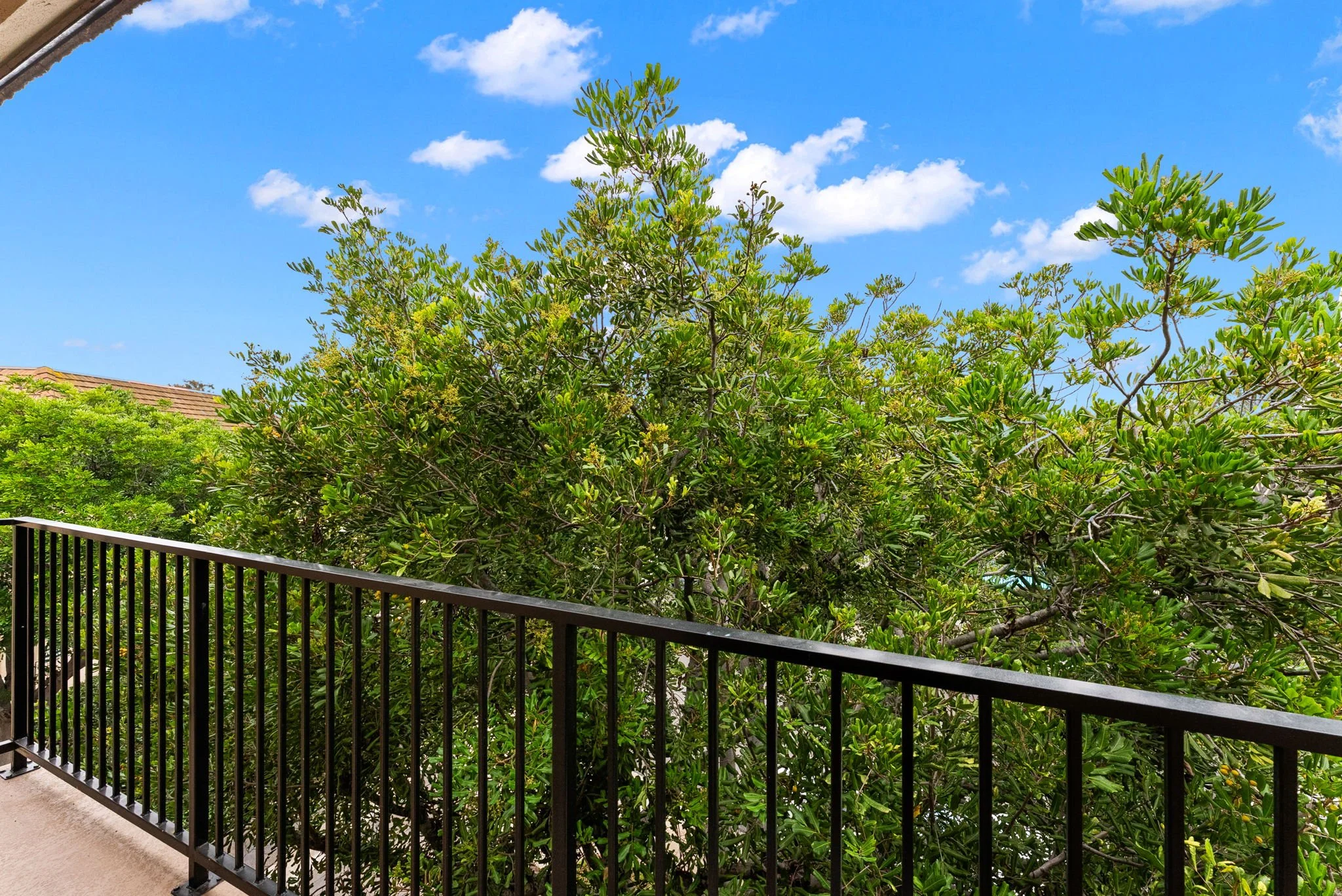 7803 Hummingbird Ln #66 (24).jpg