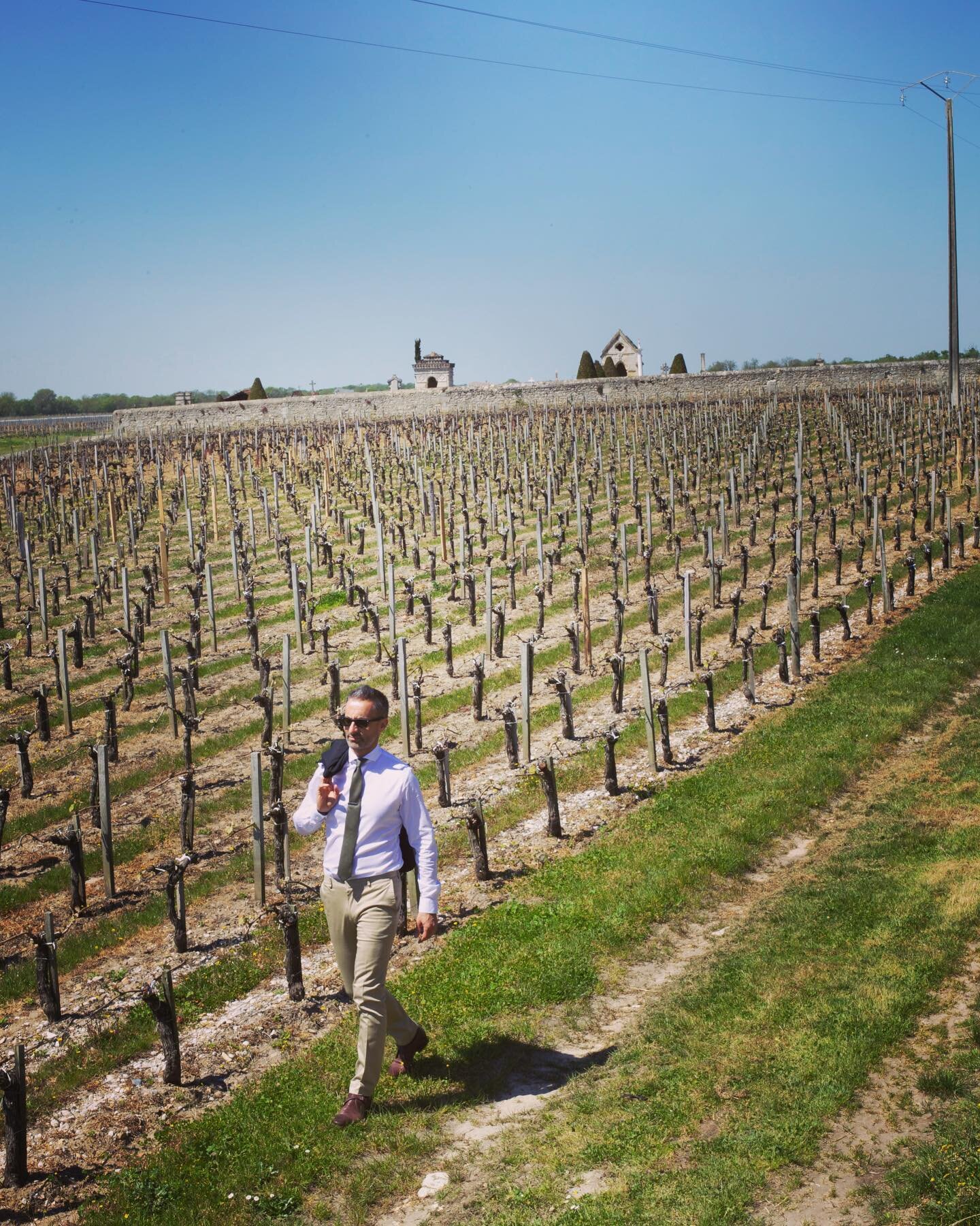 Nothing like wandering around some Bordeaux vineyards.
And we can hear you ask: &ldquo;But where is the baguette?&rdquo; 
Not to worry there are 33,000 boulangeries to choose from in France!