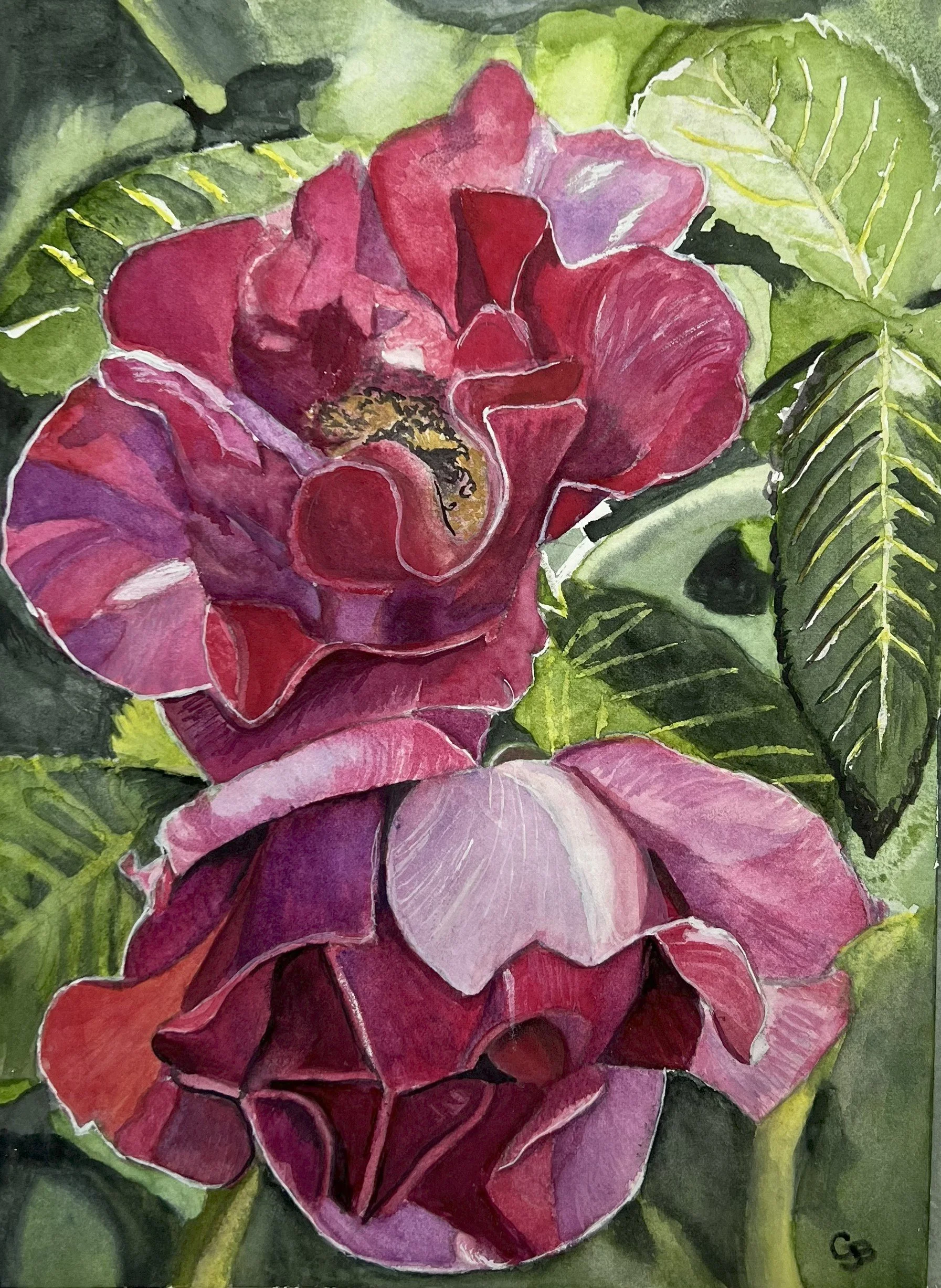 "Romantic Roses"  Watercolour on paper- Print available