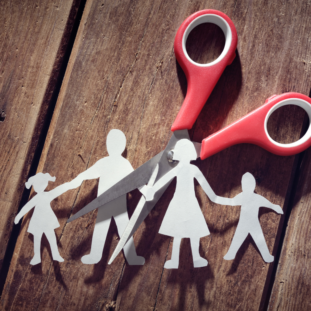 Types of Custody (with the 2021 custody change)