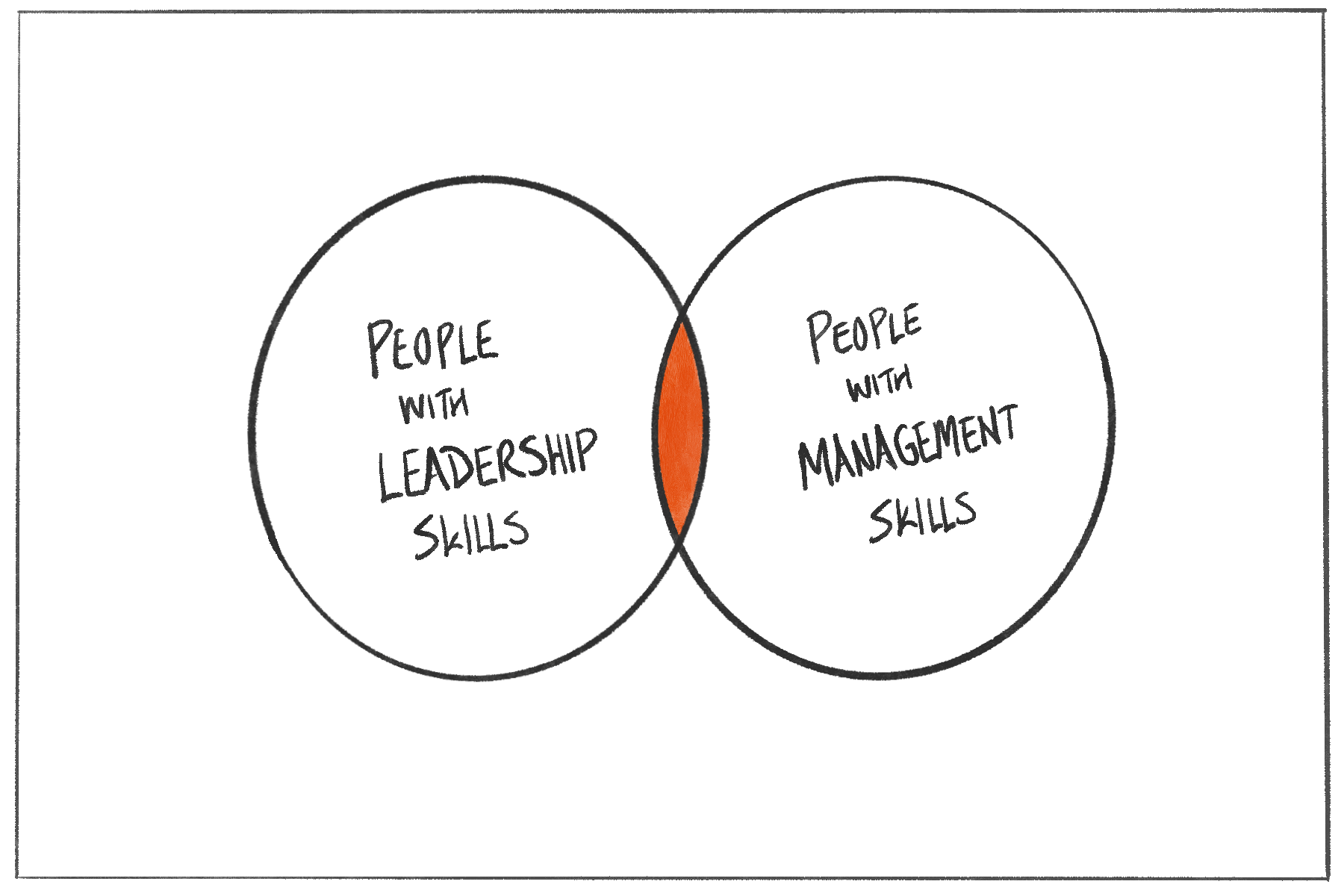 Leadership vs. Management