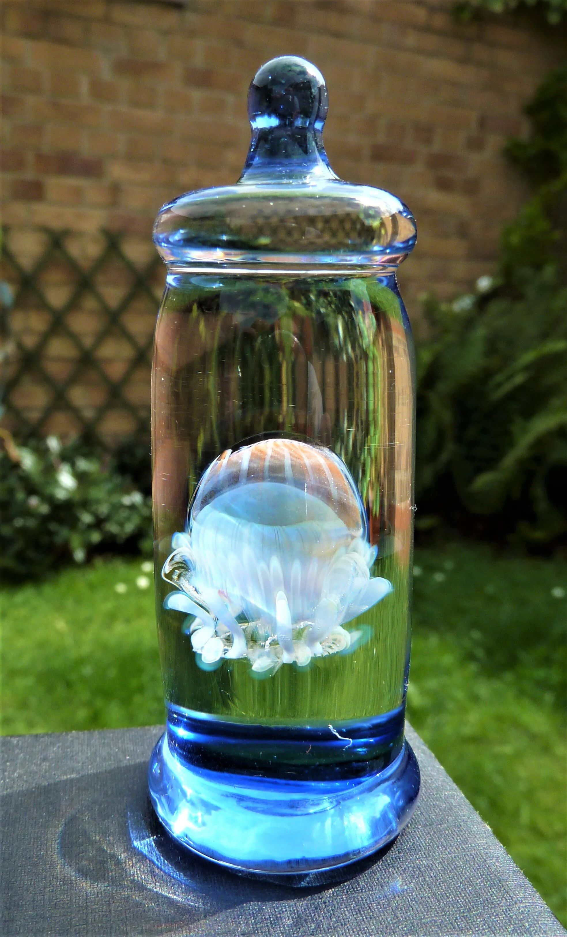 *SOLD* Jellyfish in specimen jar 3in tall £95/$120 (10054)
