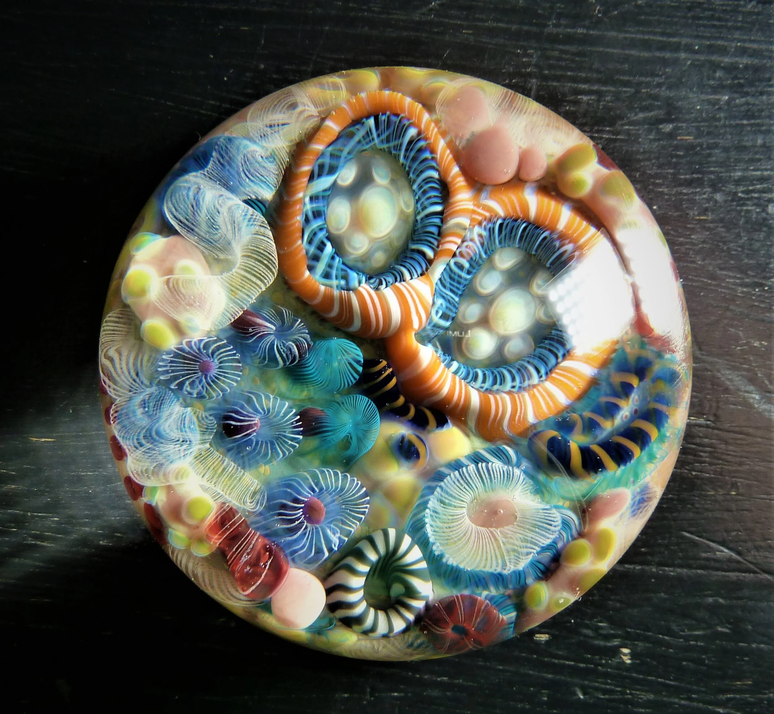 P1030958 (2).JPG