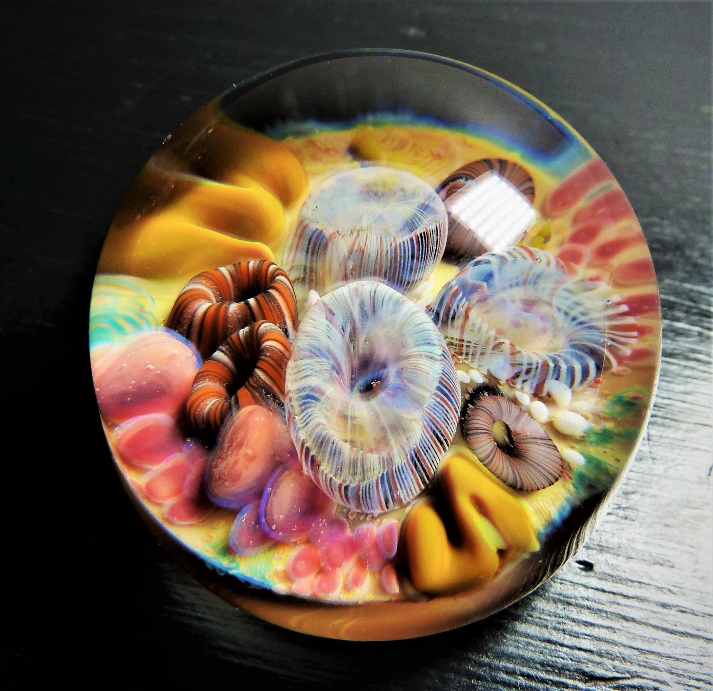 *SOLD* Paperweight 1.75in x 1.35in £98/$130 (No. 10098)