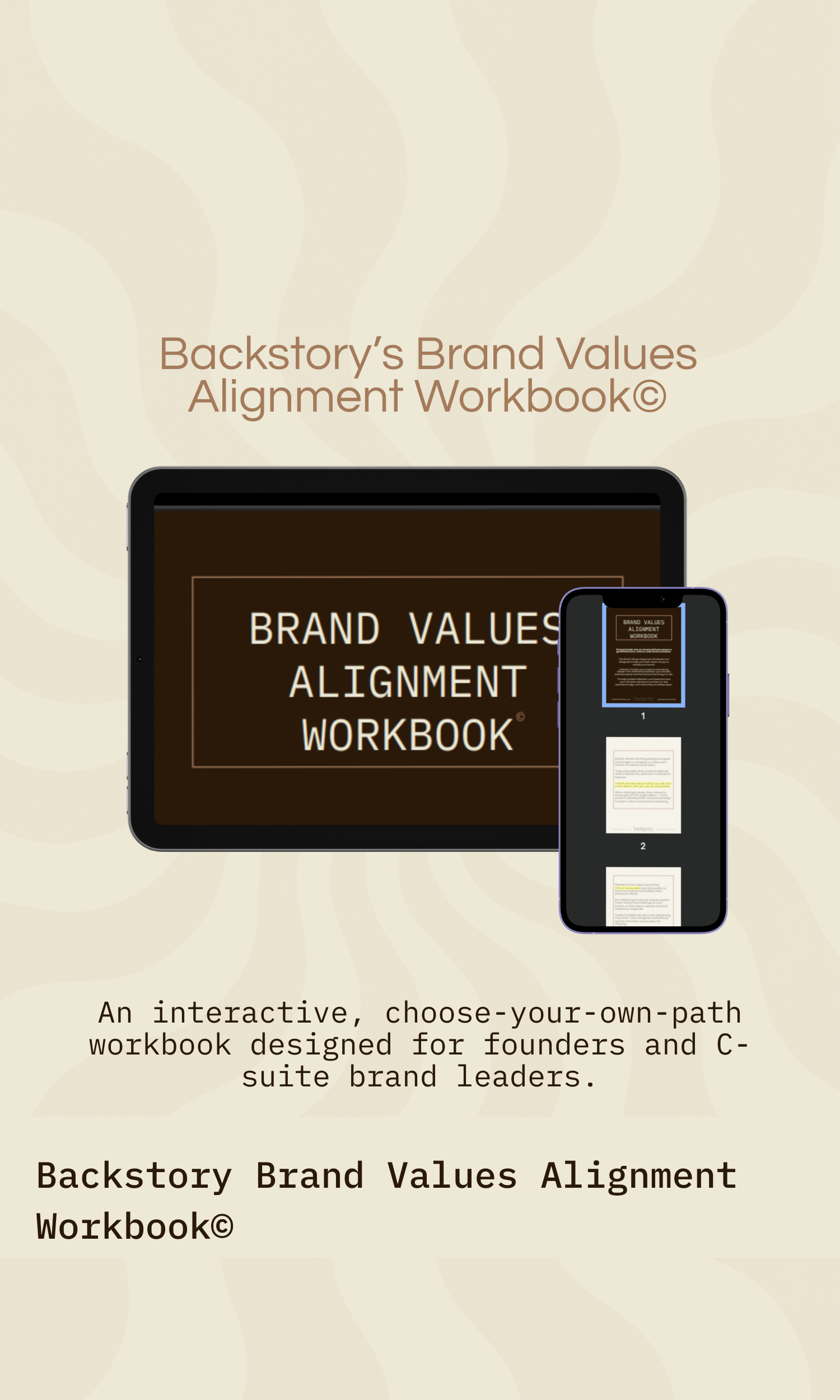 Backstory Brand Values Alignment Workbook© .png