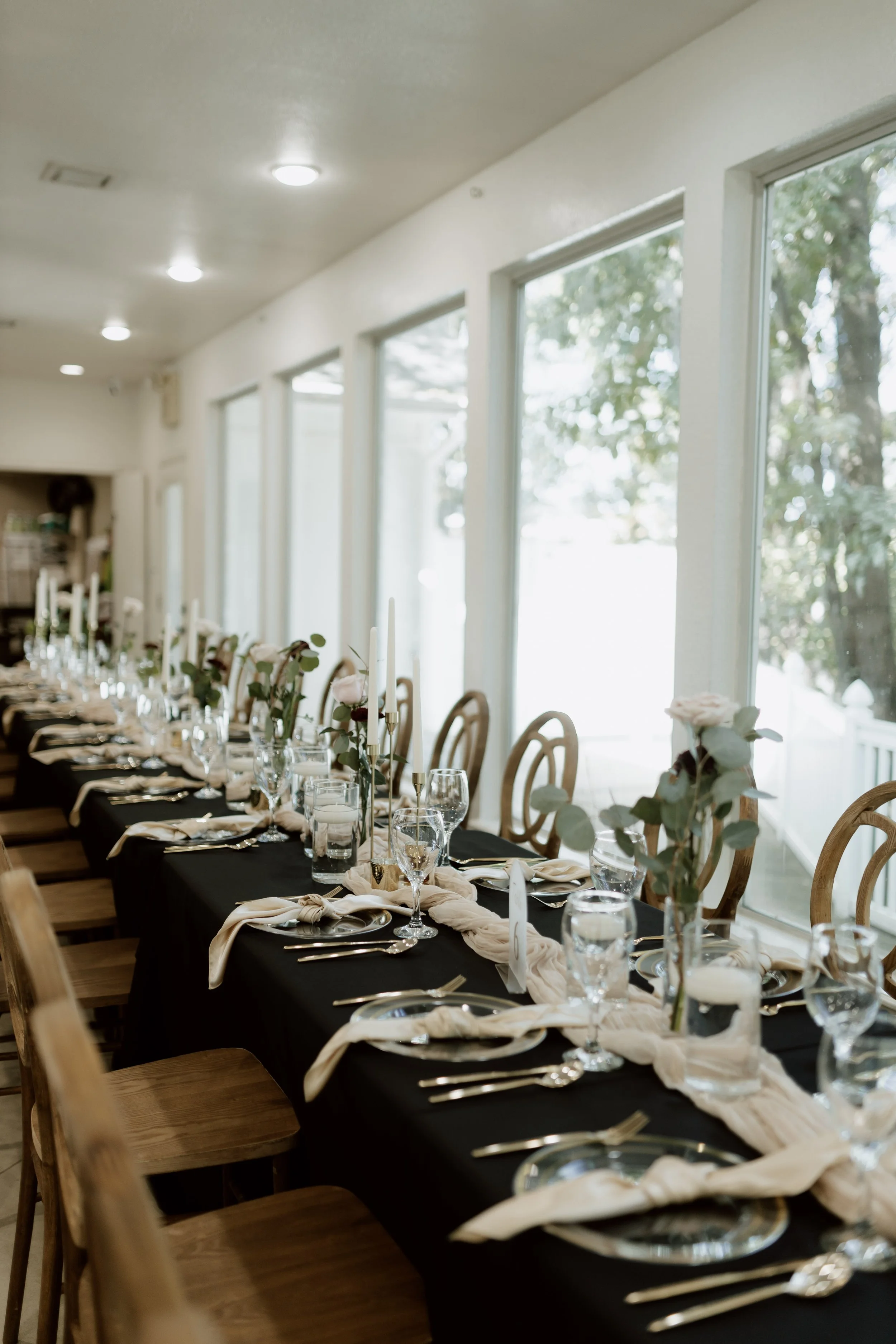 496-624A8242 (1).jpg