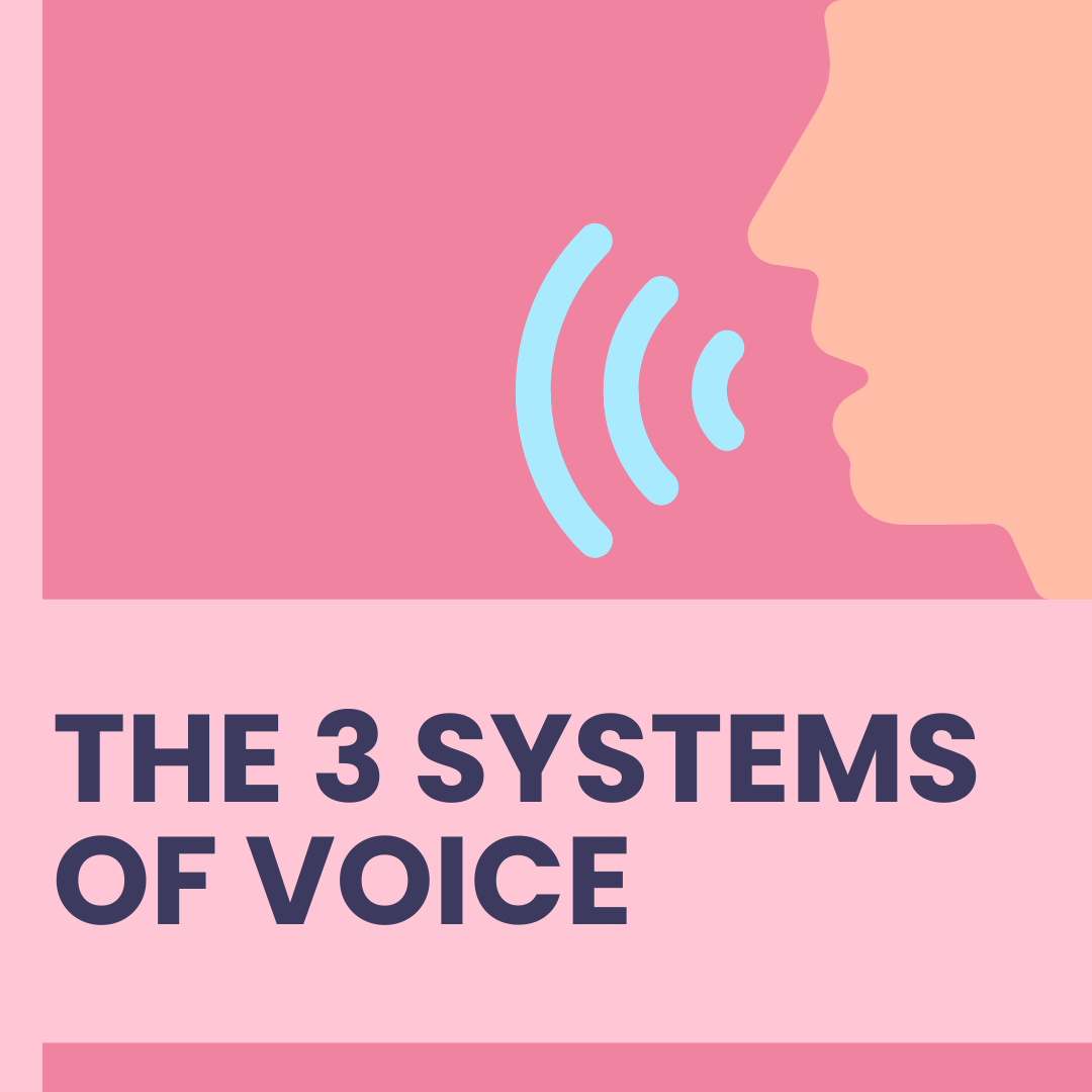 The 3 Subsystems of Voice
