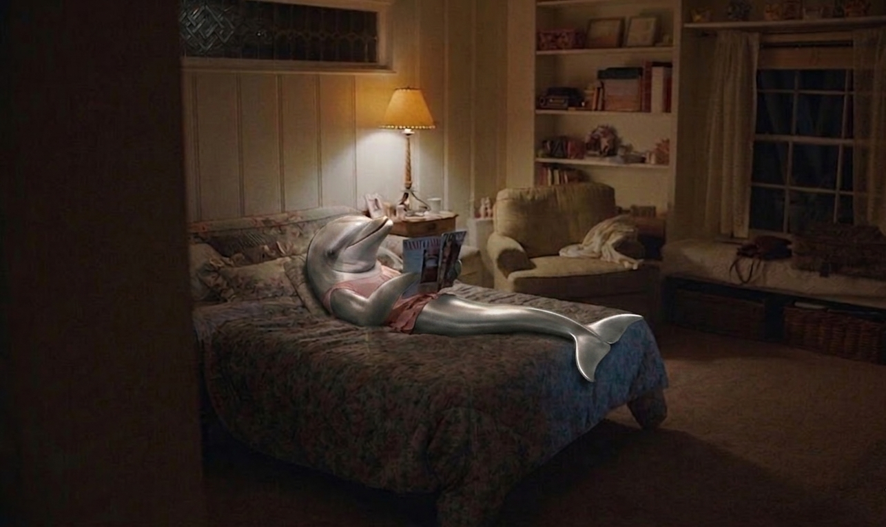 Dolphin in bed.png