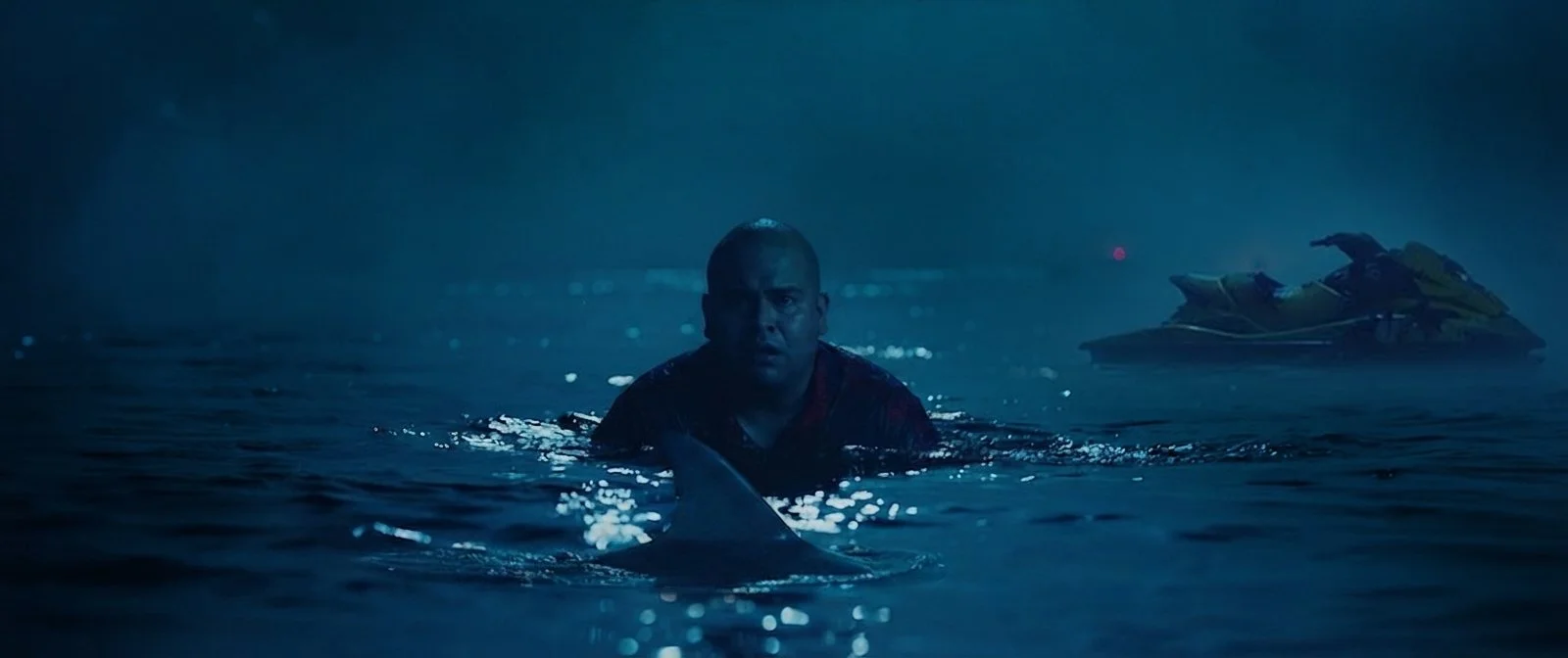 tony water dolphin night.jpg