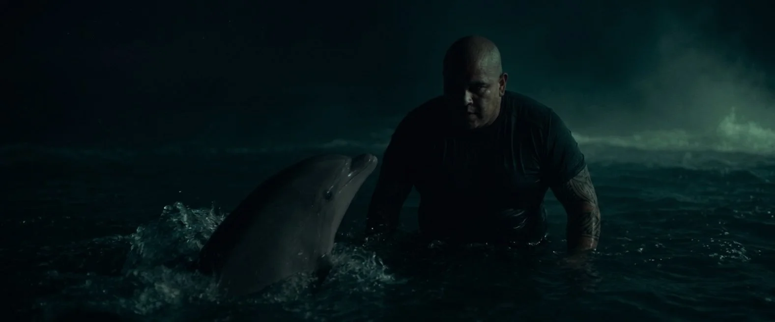 dolphin night.jpg
