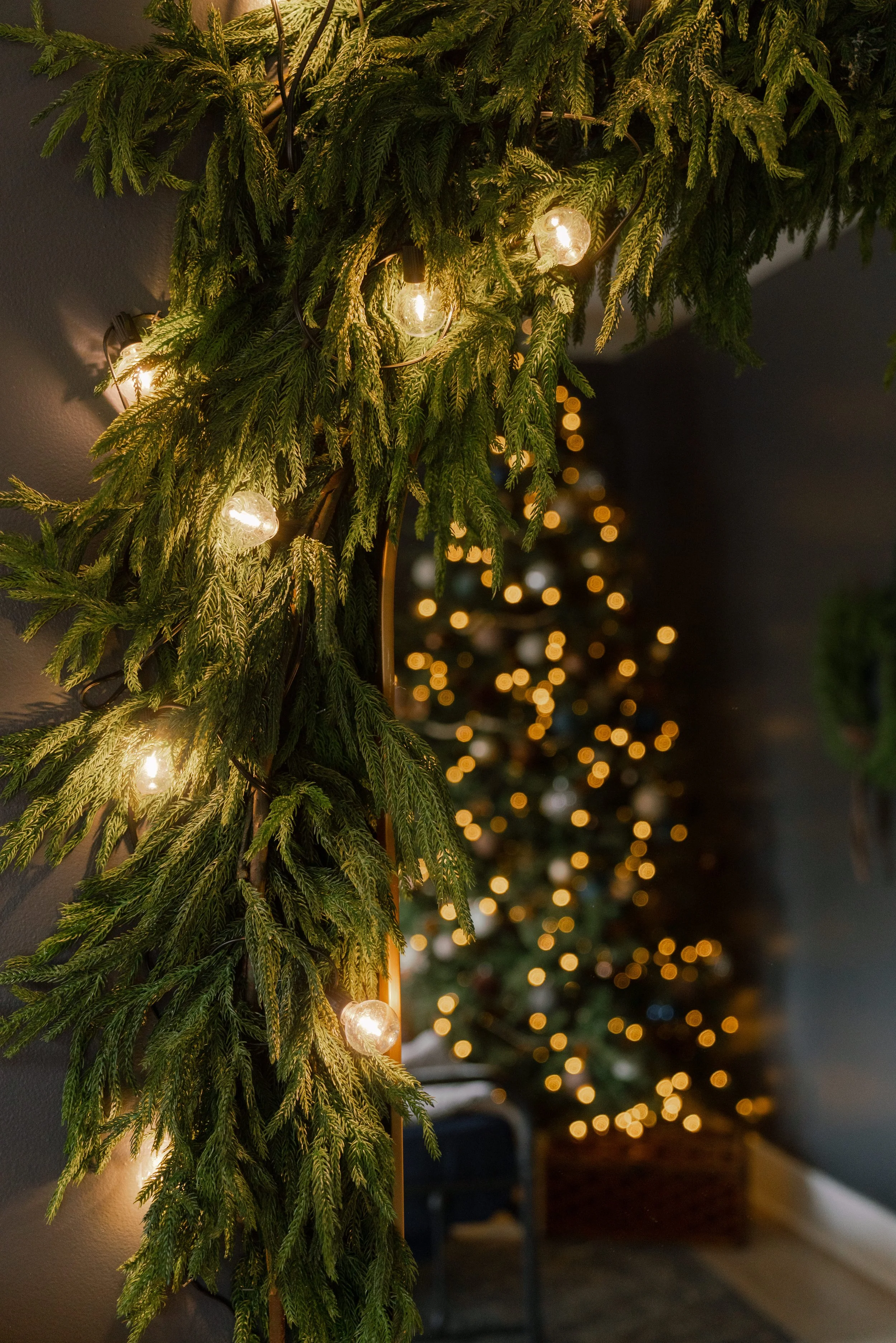 seasonswinter202611.jpg