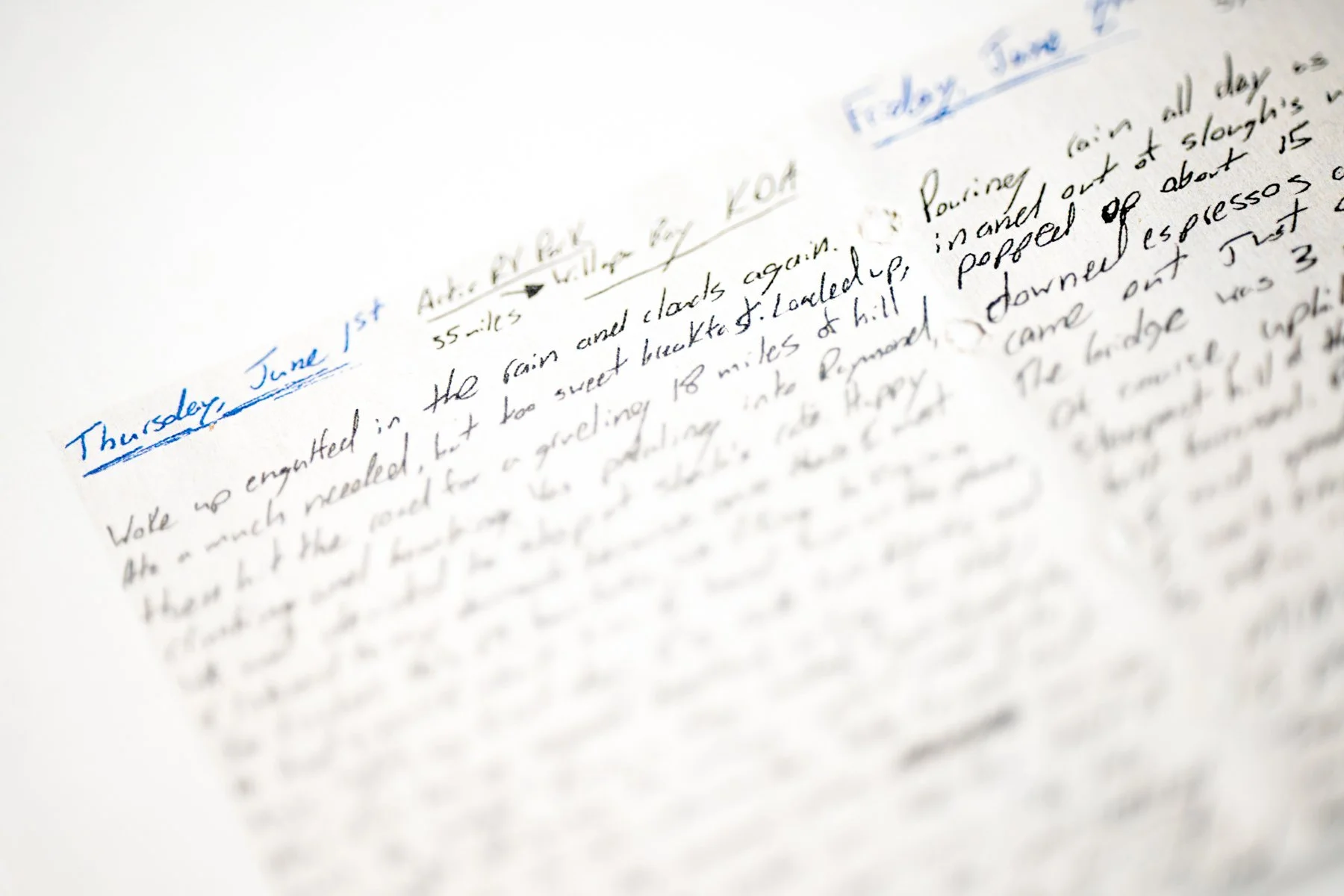 Why Do You Exist__10.jpg