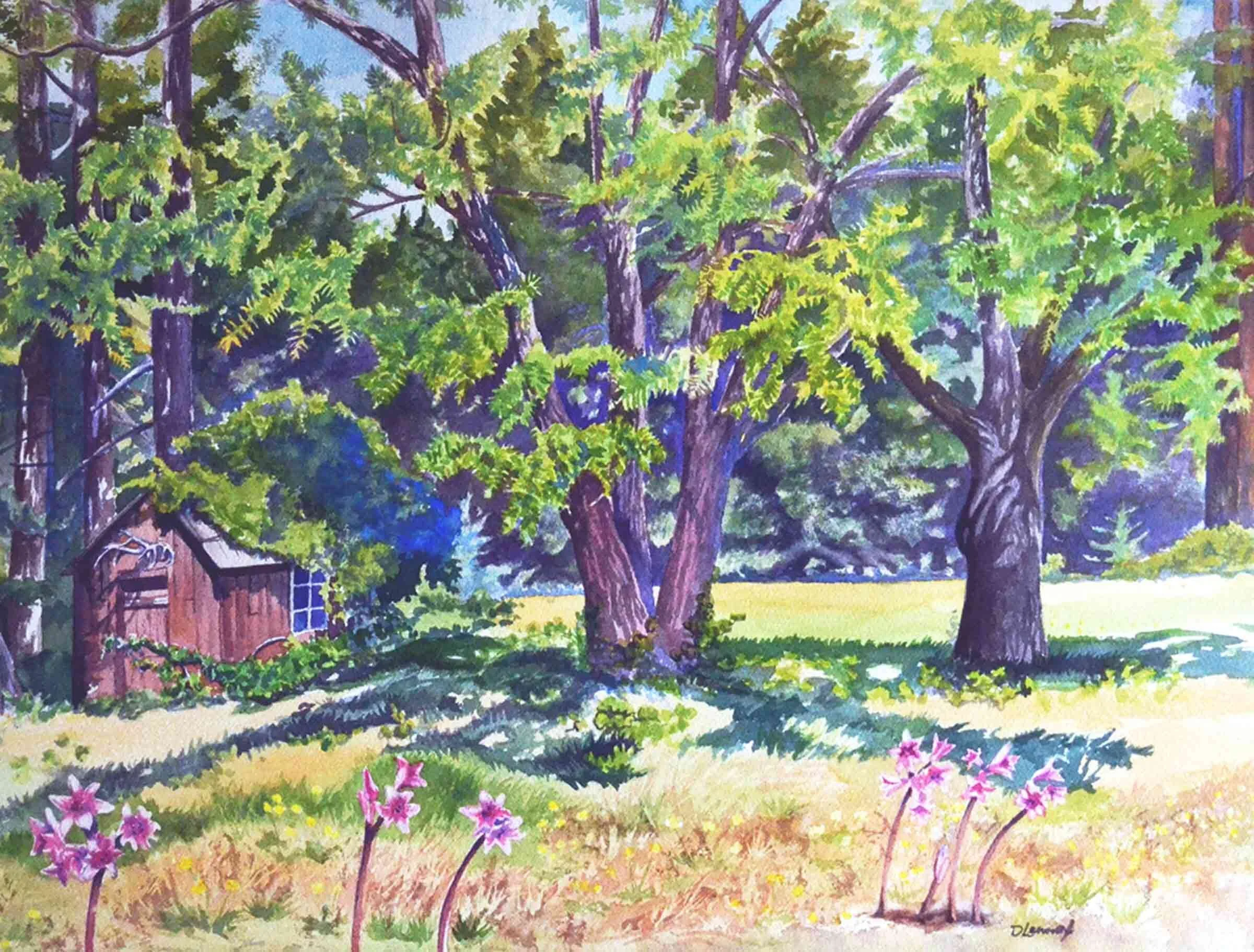 Docker Hill Walnut Trees